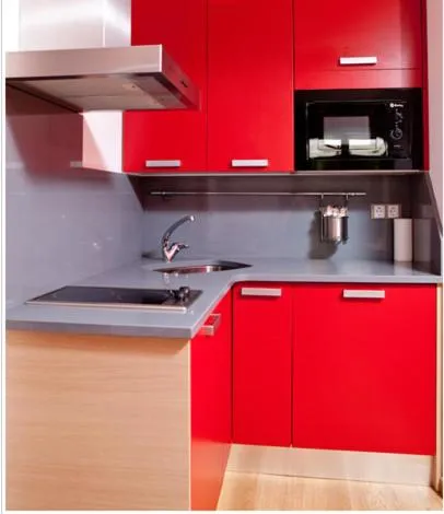 Kitchen or kitchenette in Apartahotel Castejón de Sos