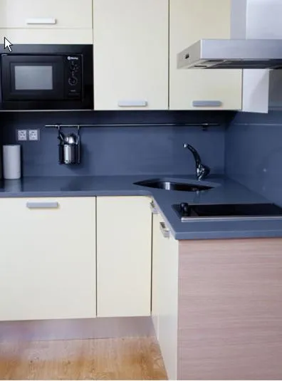 Kitchen or kitchenette in Apartahotel Castejón de Sos