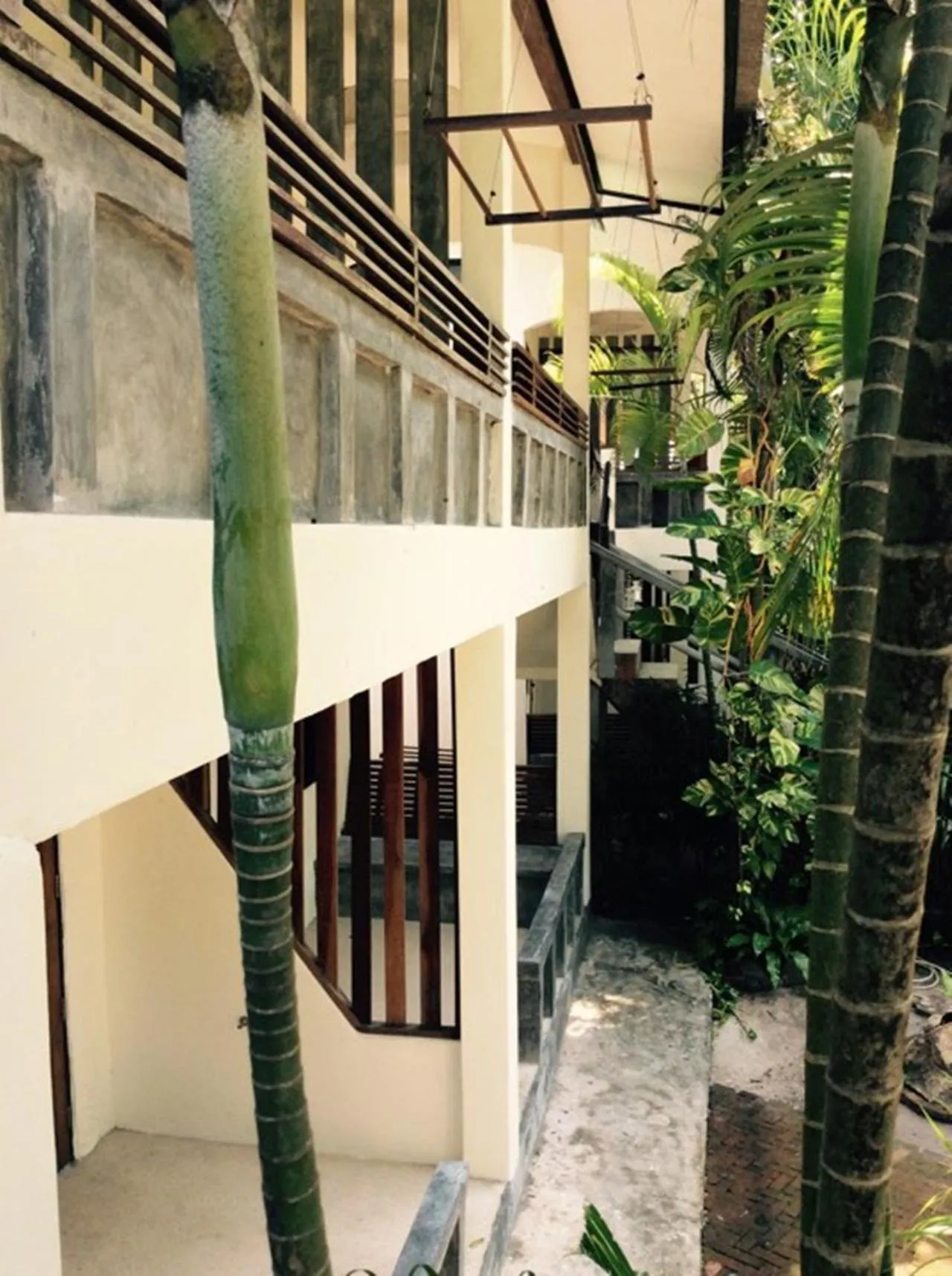 Garden in Fisherman Koh Tao