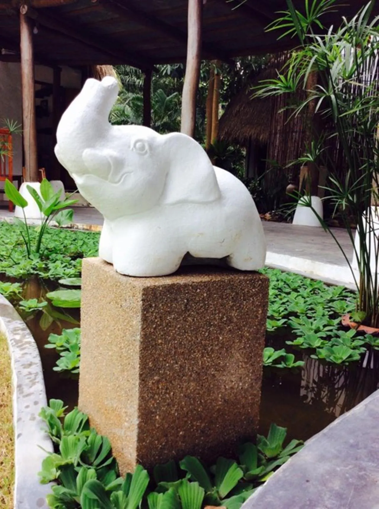 Day in Fisherman Koh Tao