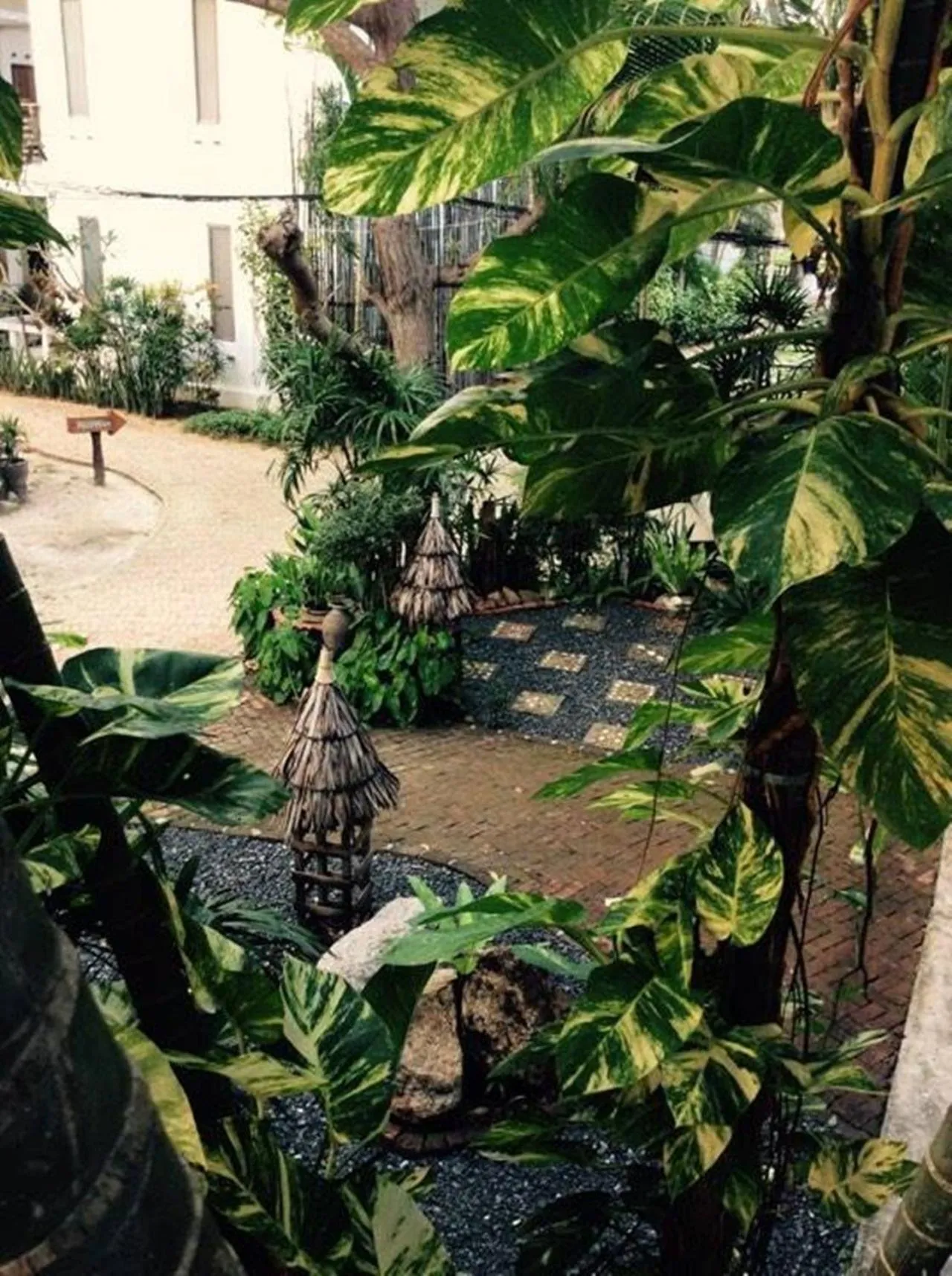 Garden in Fisherman Koh Tao