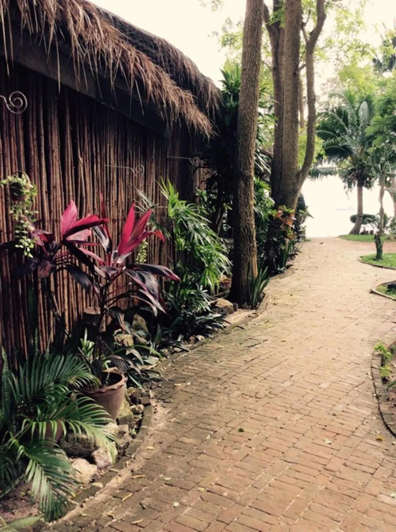 Garden in Fisherman Koh Tao