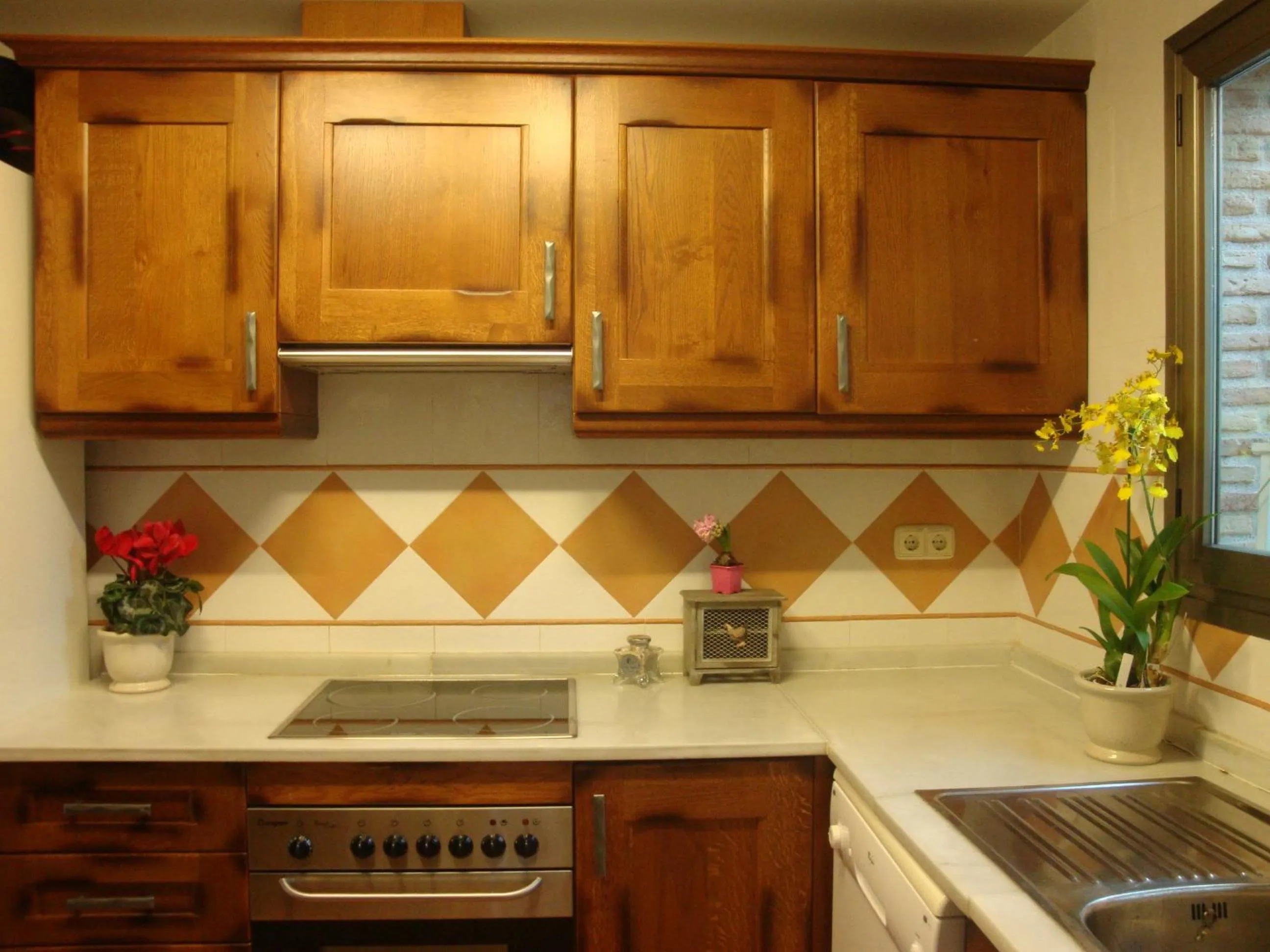 Kitchen or kitchenette in Villa Alegre Playa Calpe Grupo Terra de Mar, alojamientos con encanto
