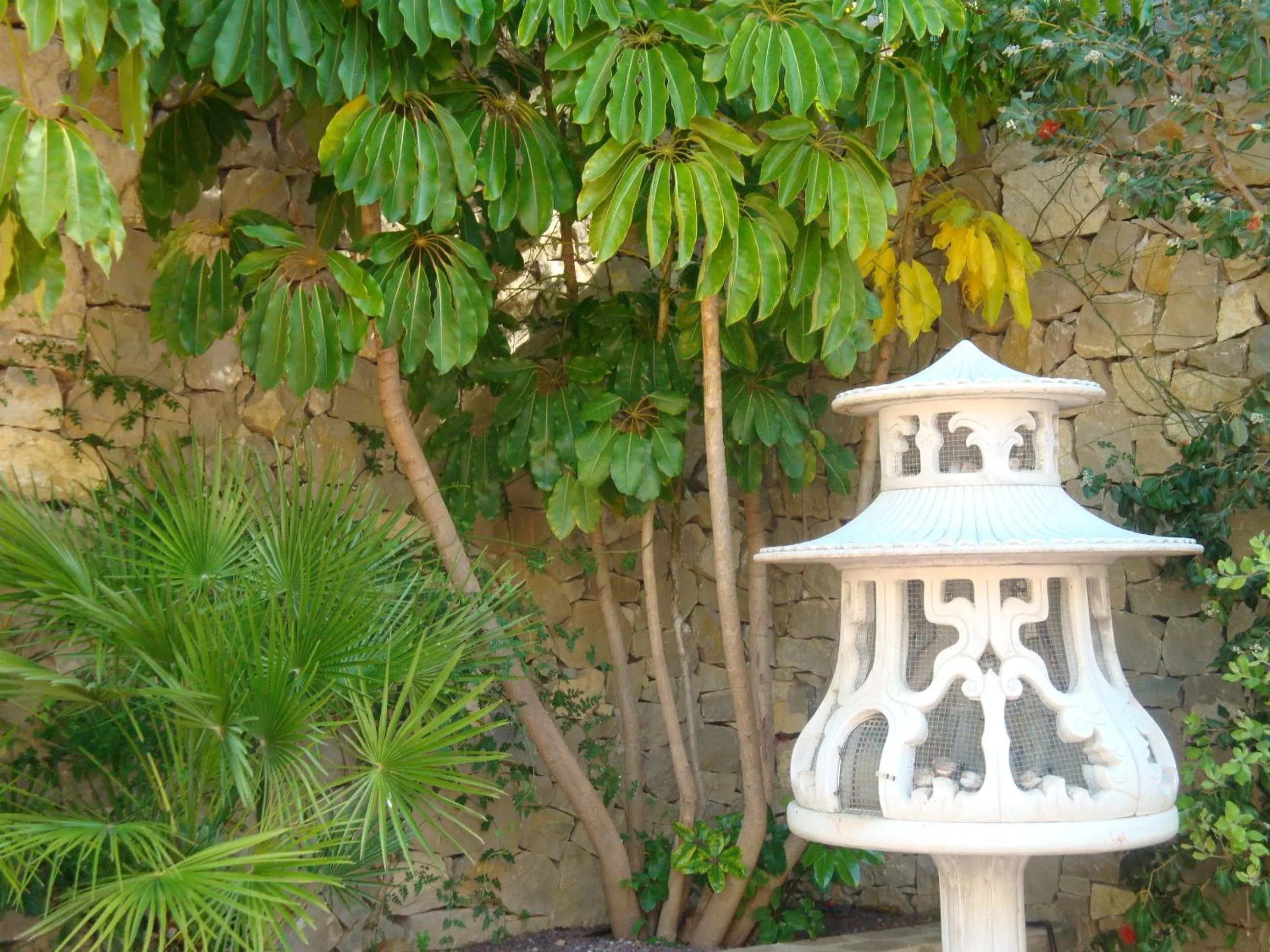 Garden in Villa Alegre Playa Calpe Grupo Terra de Mar, alojamientos con encanto