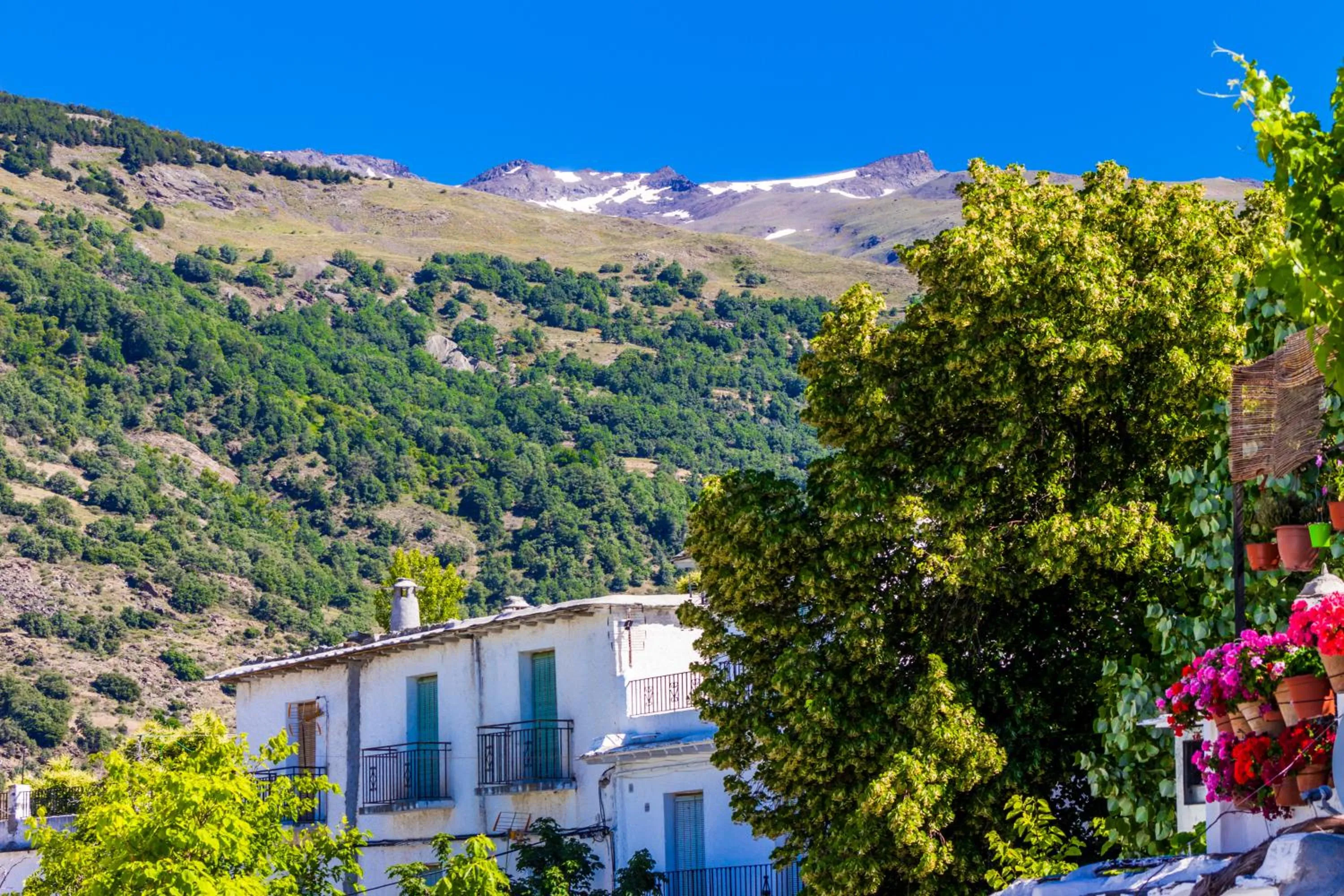 Natural landscape in Hotel Rural Real de Poqueira
