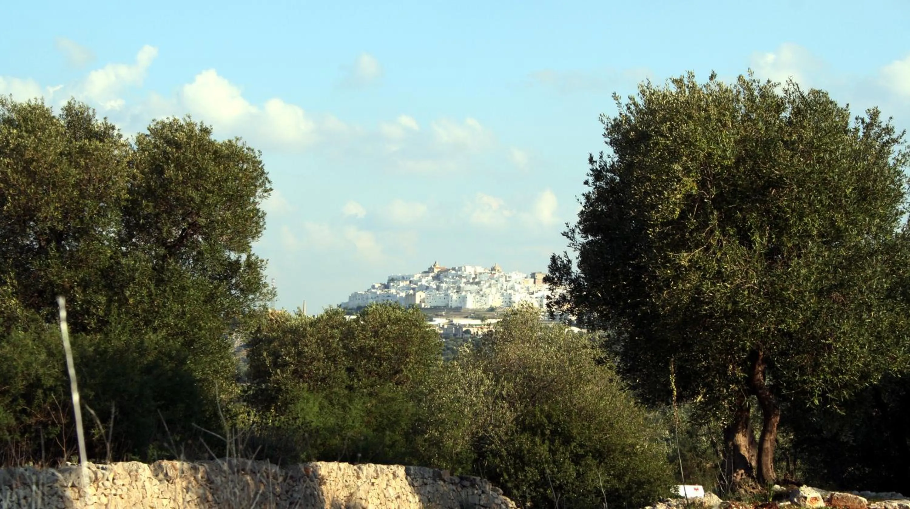 View (from property/room) in Masseria Morrone