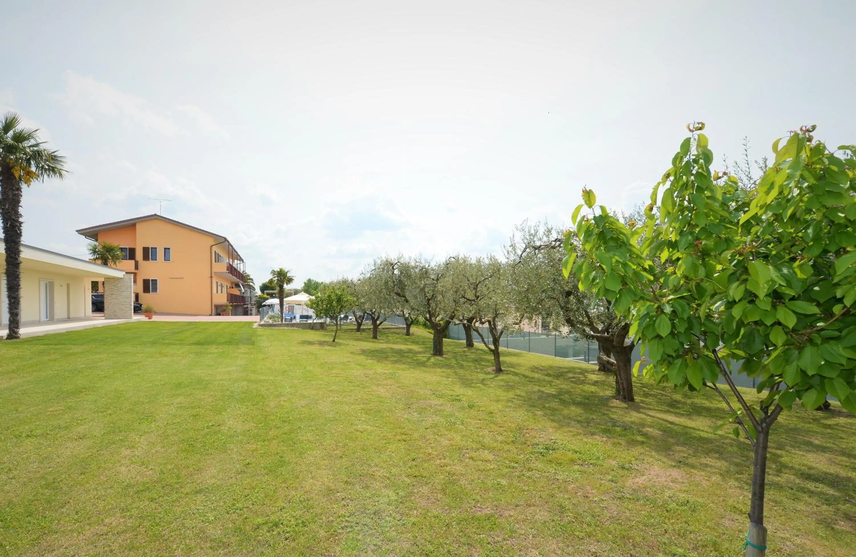 Natural landscape in Hotel Panoramica