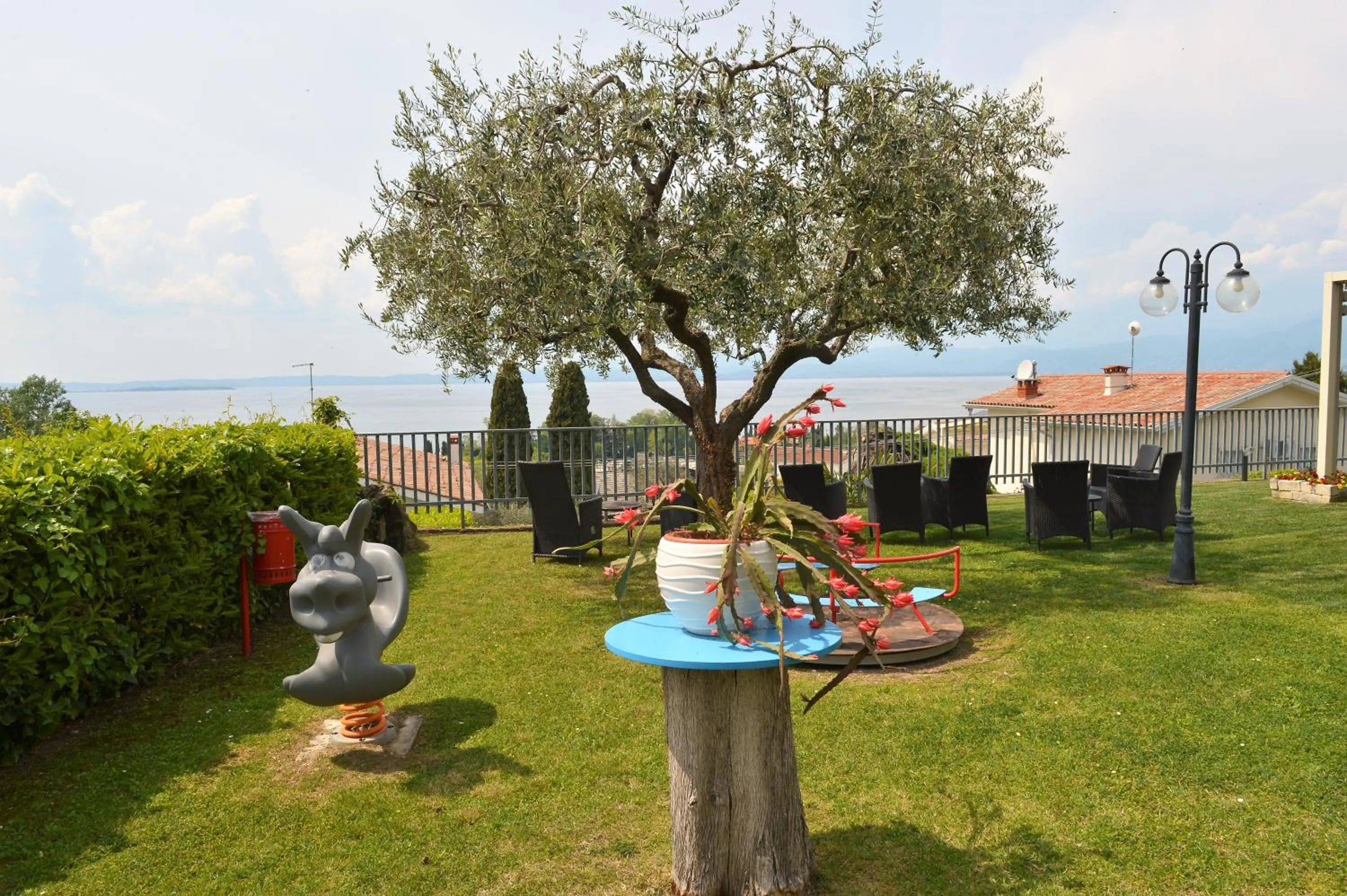 Natural landscape in Hotel Panoramica