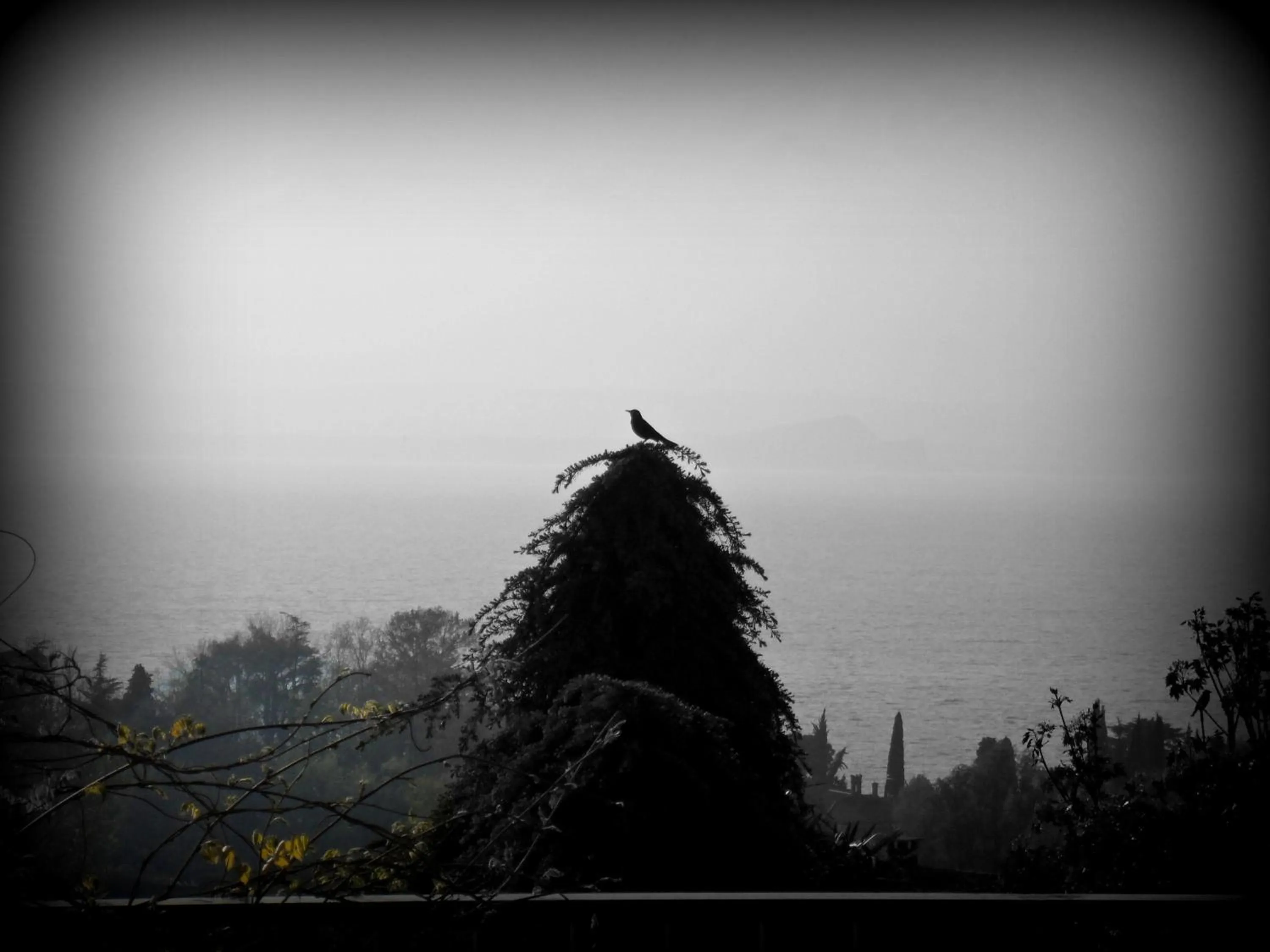 Day in Hotel Panoramica