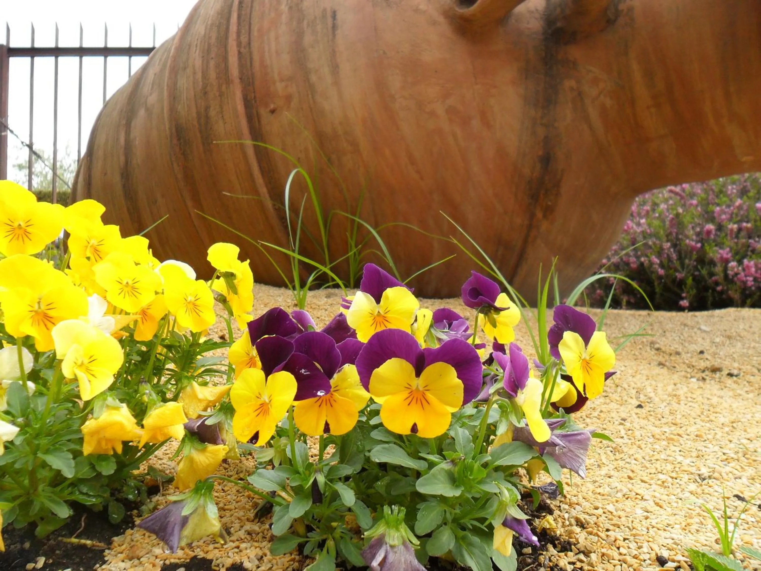 Spring in Hotel Panoramica