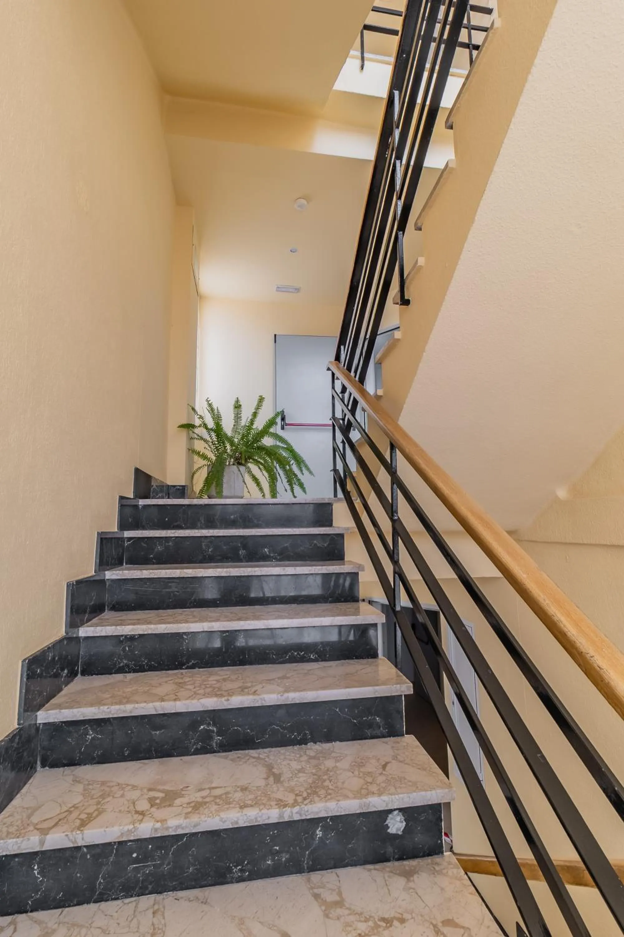 Area and facilities in Apartamentos Turisticos Las Yucas
