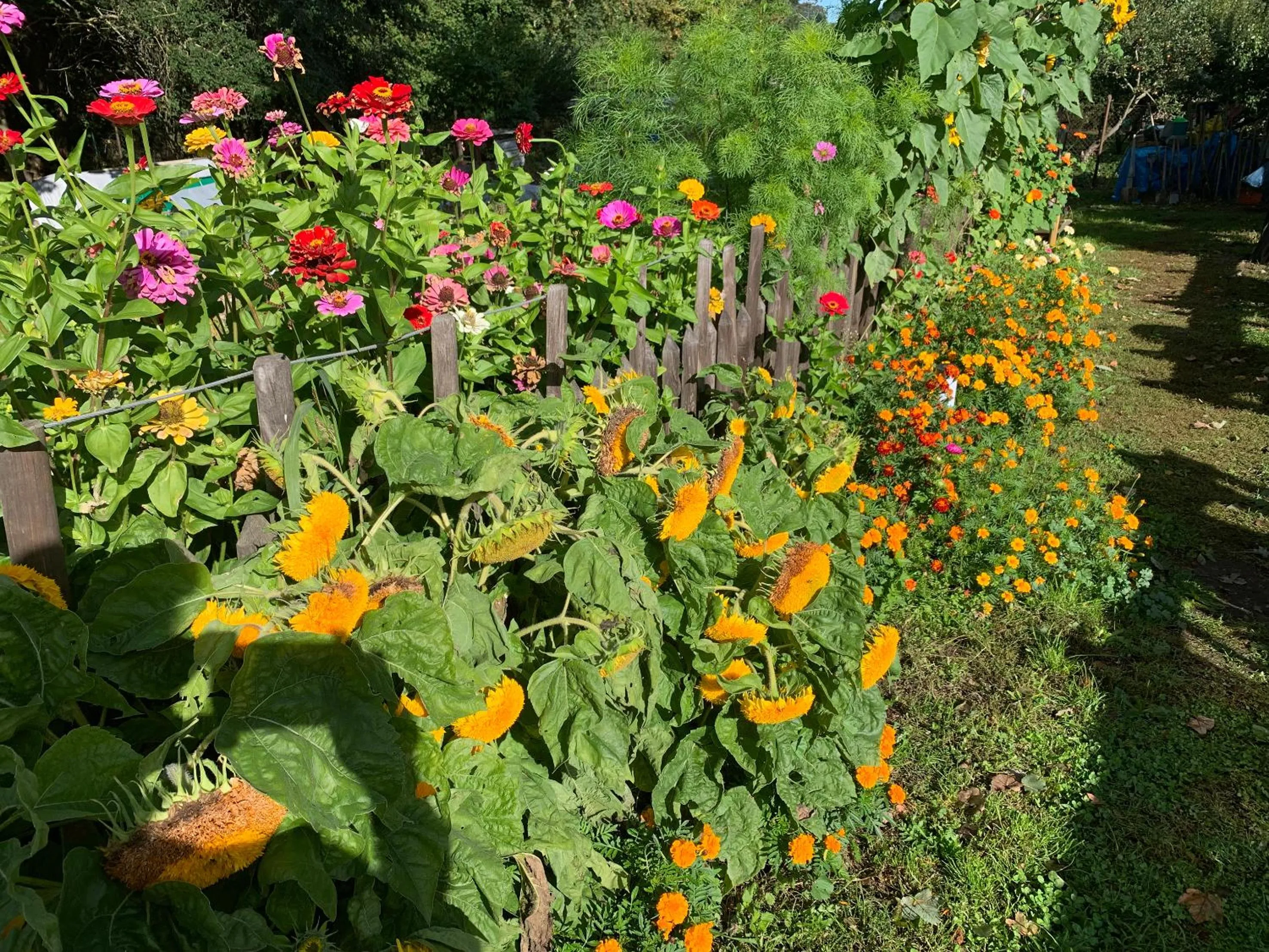 Garden in Himmelreich Rügen