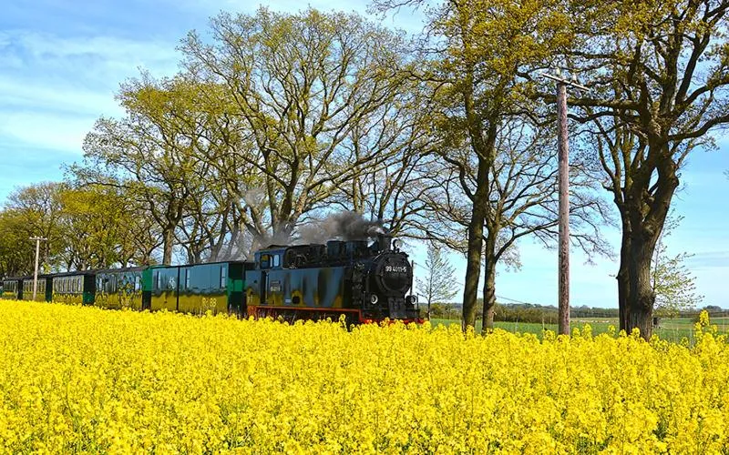 Natural landscape in Himmelreich Rügen