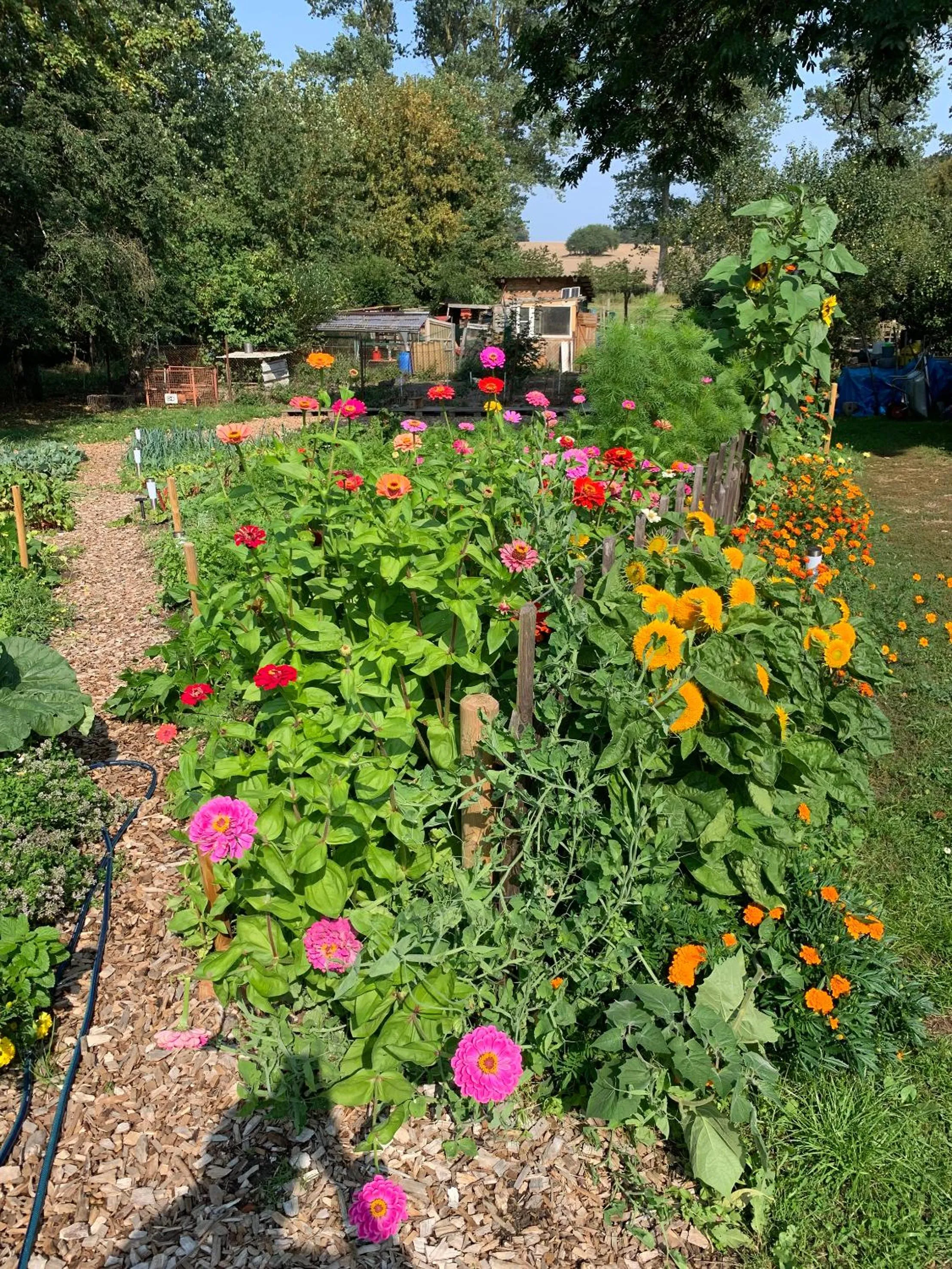 Garden in Himmelreich Rügen