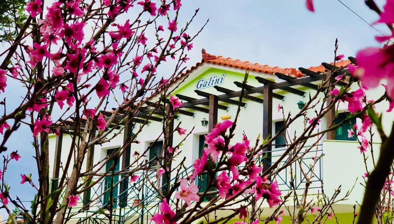 Galini Apartments