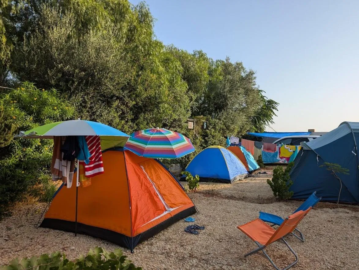 Summer in Lilybeo Village