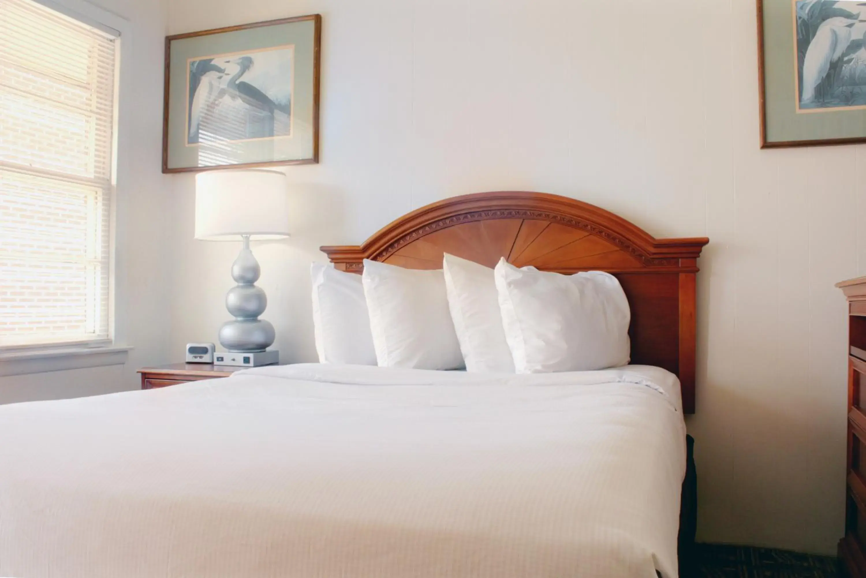 Patio Room in Oceanic Motel Patio Room in Oceanic Motel