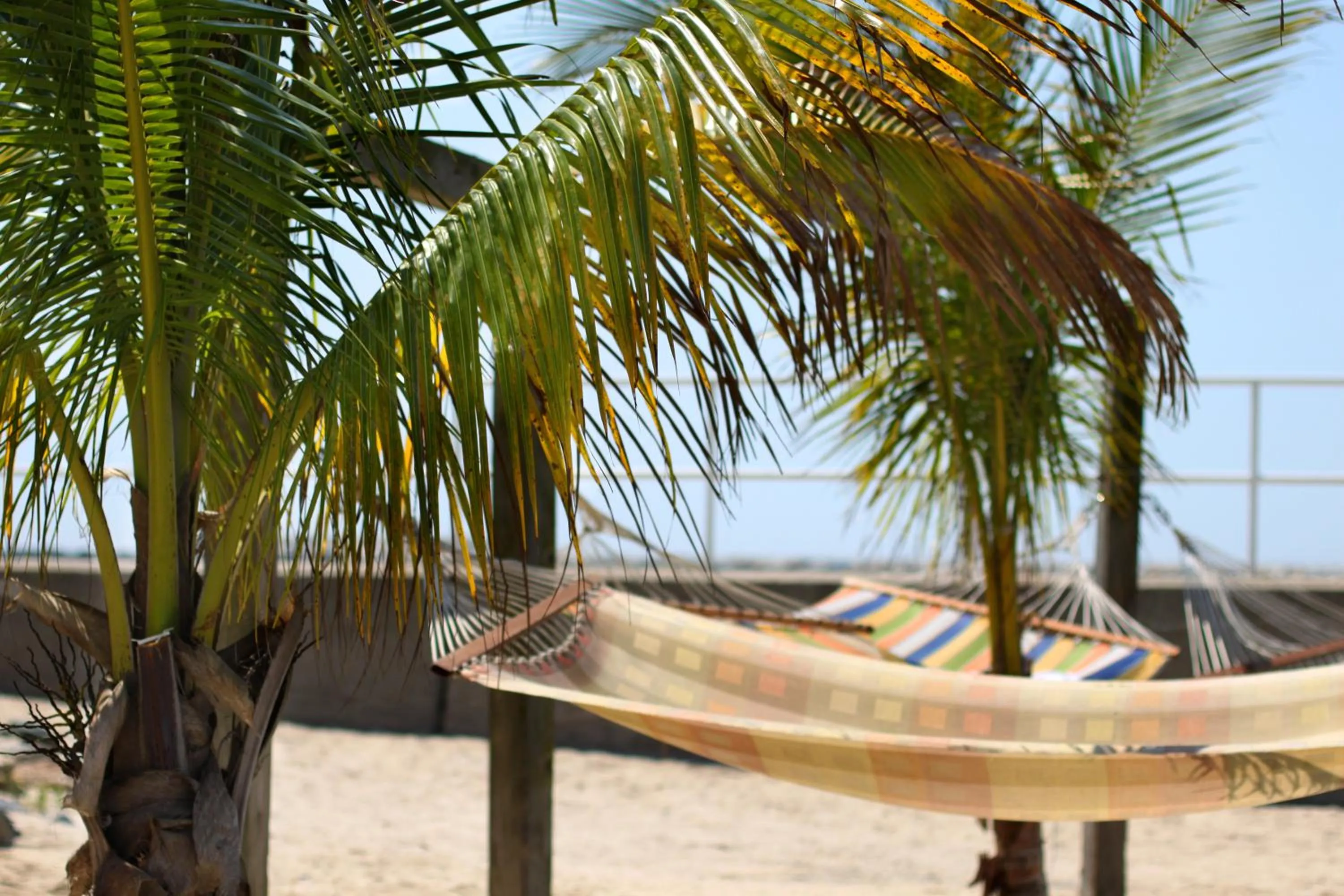 Area and facilities in Oceanic Motel