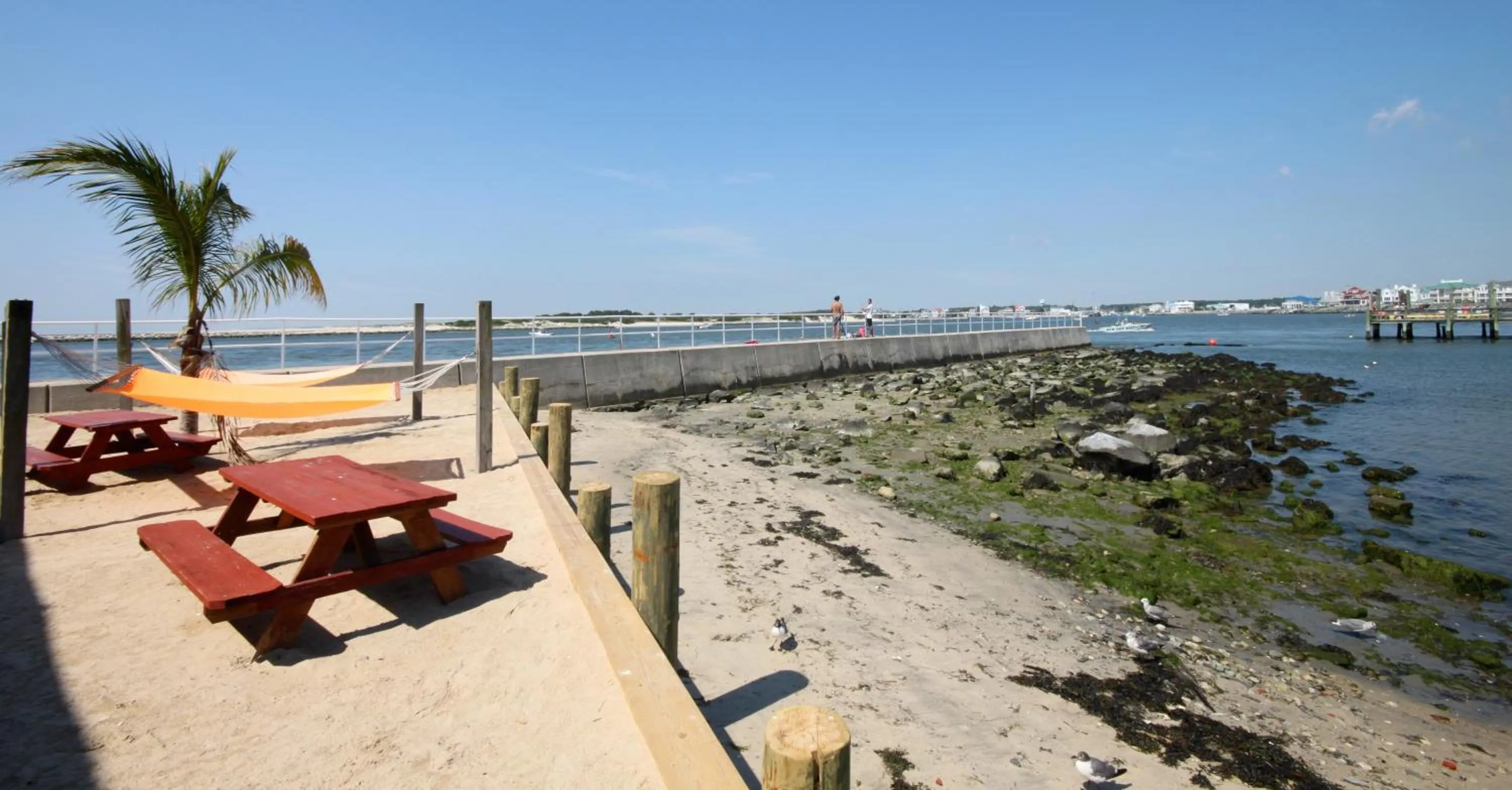 Area and facilities in Oceanic Motel