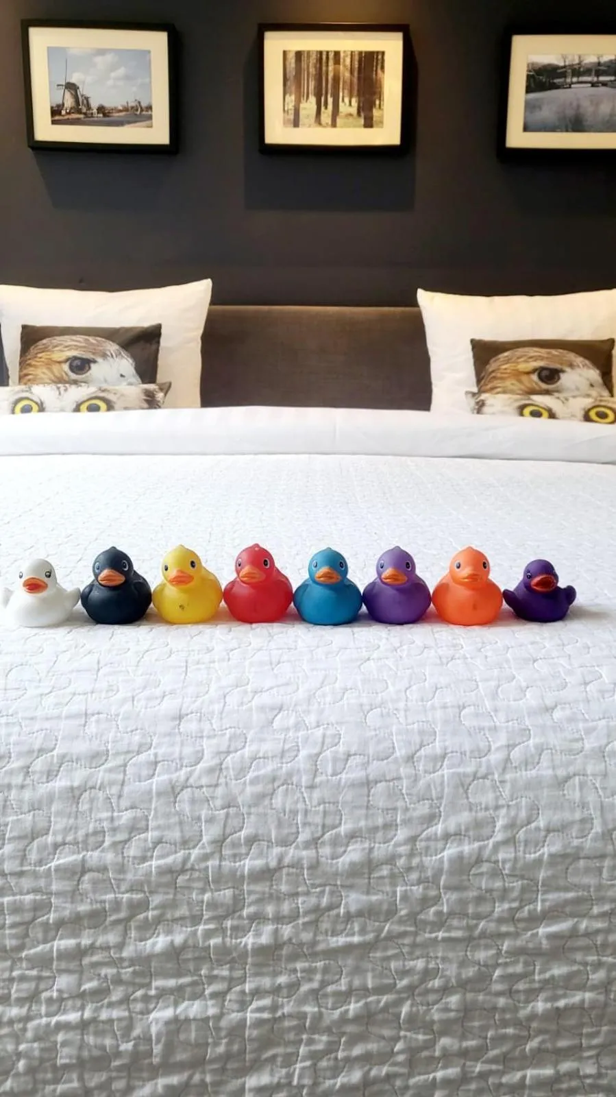Bed in Velvetamsterdam