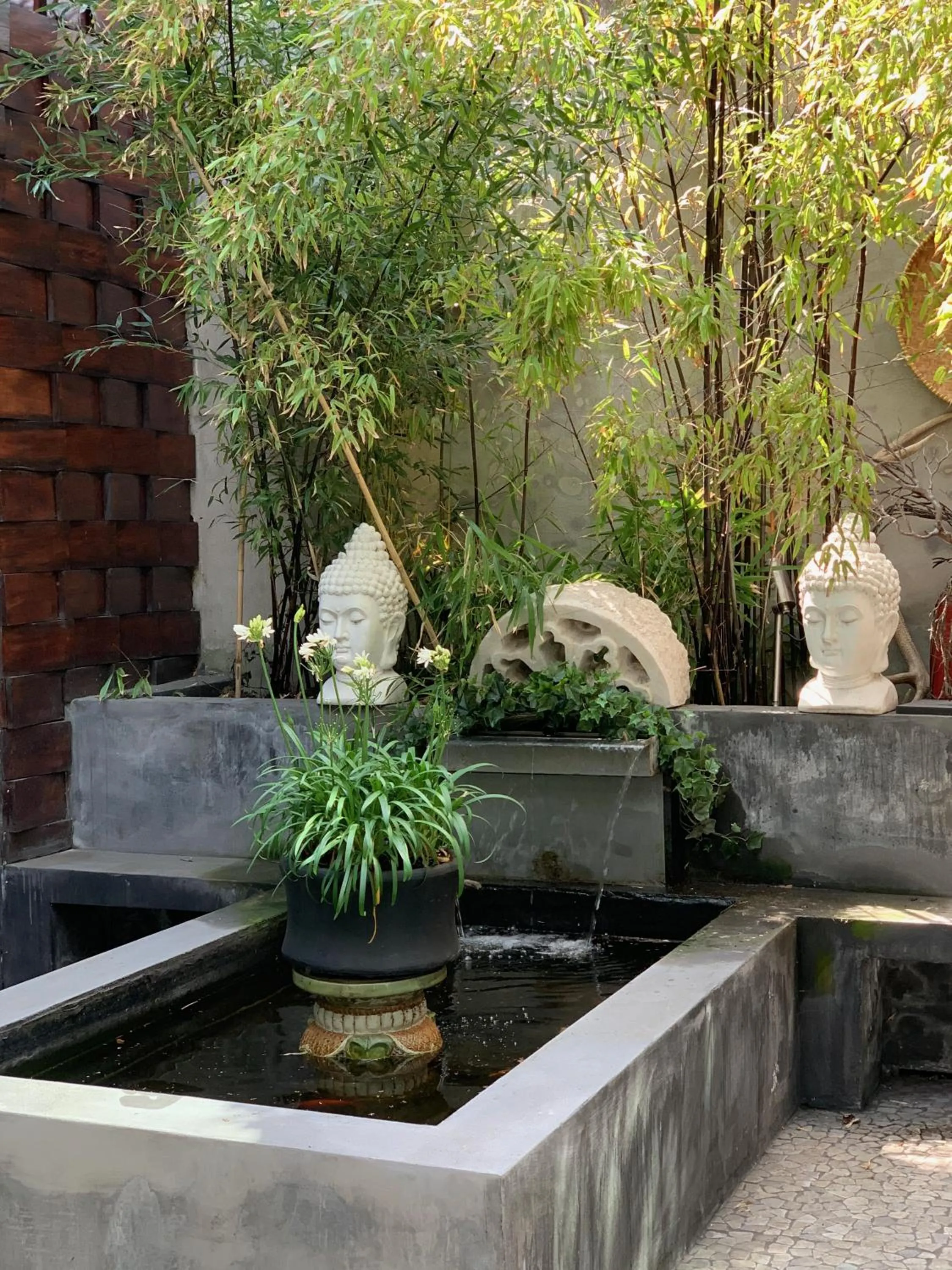 Patio in B&B Habitat