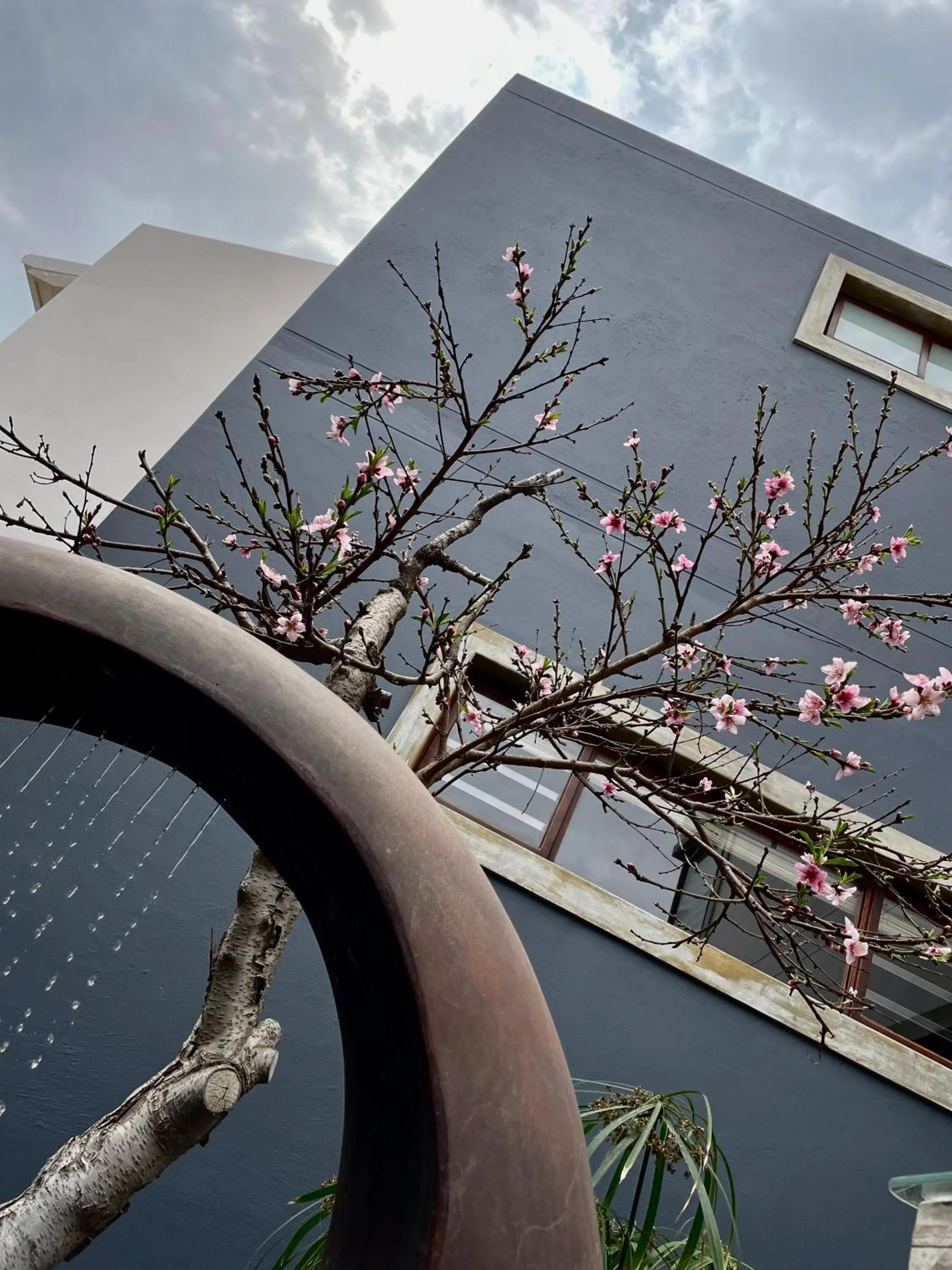 Garden in Organic Stay Guesthouse