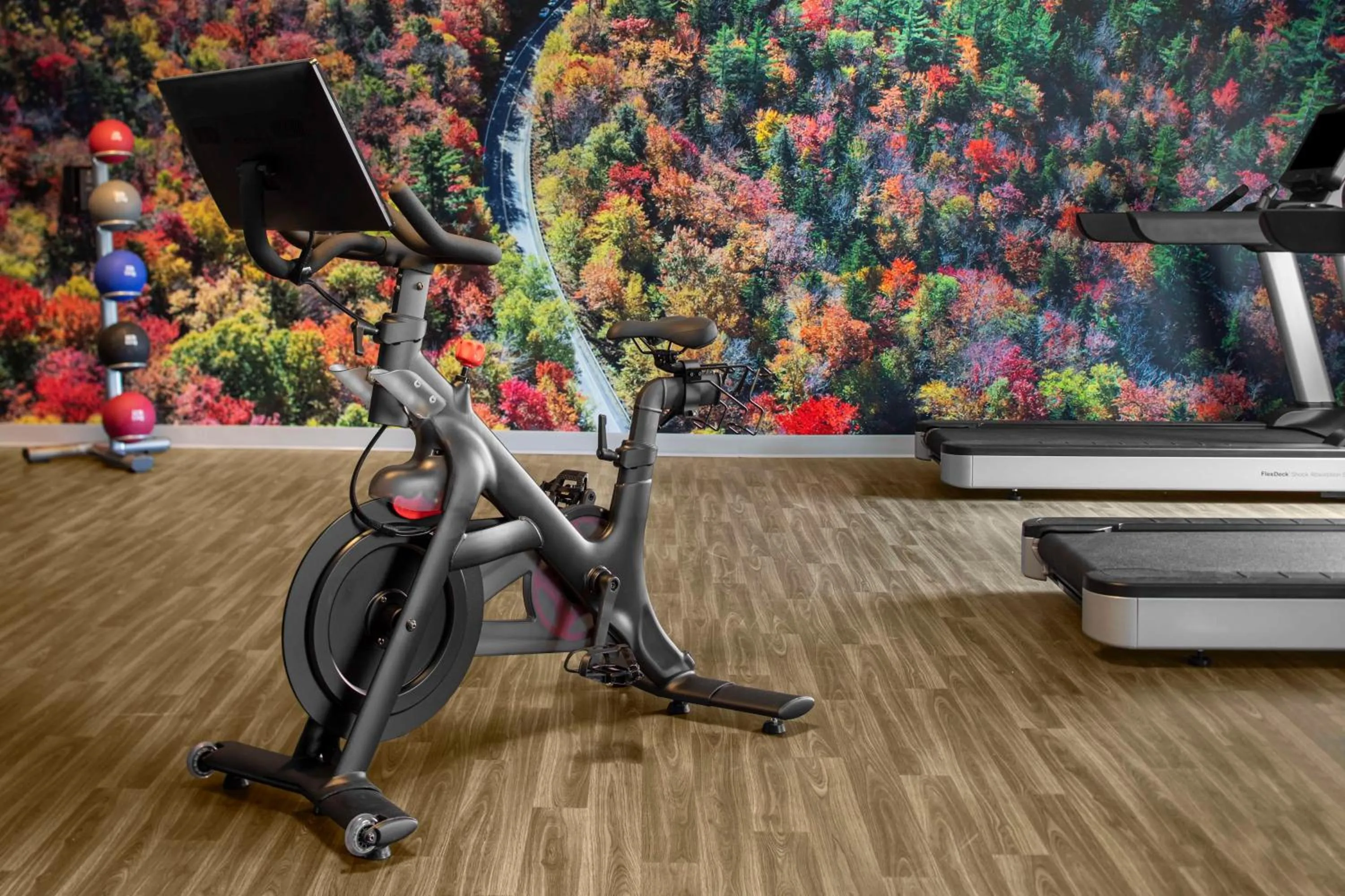 Fitness centre/facilities in Hyatt Place Boston/Braintree
