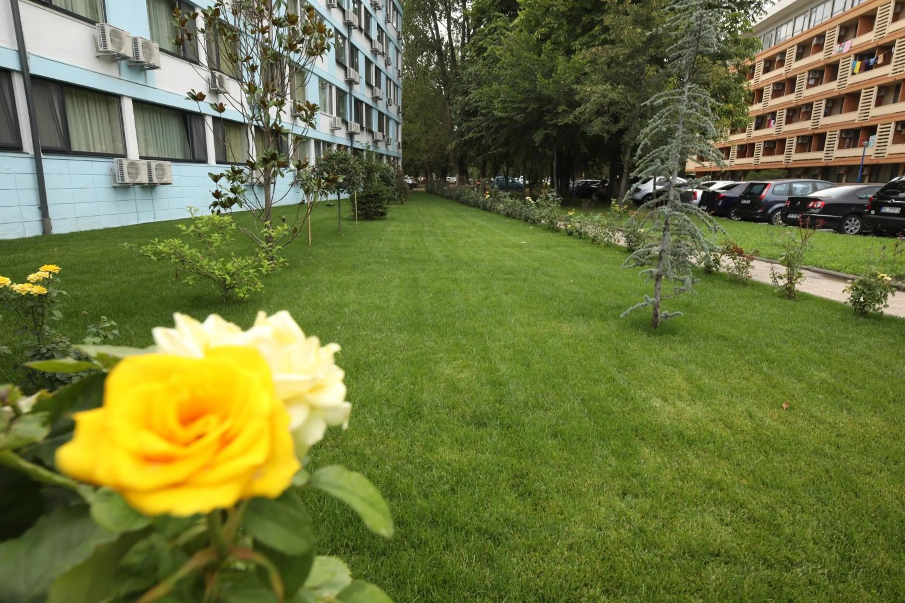 Garden in Hotel Delfin