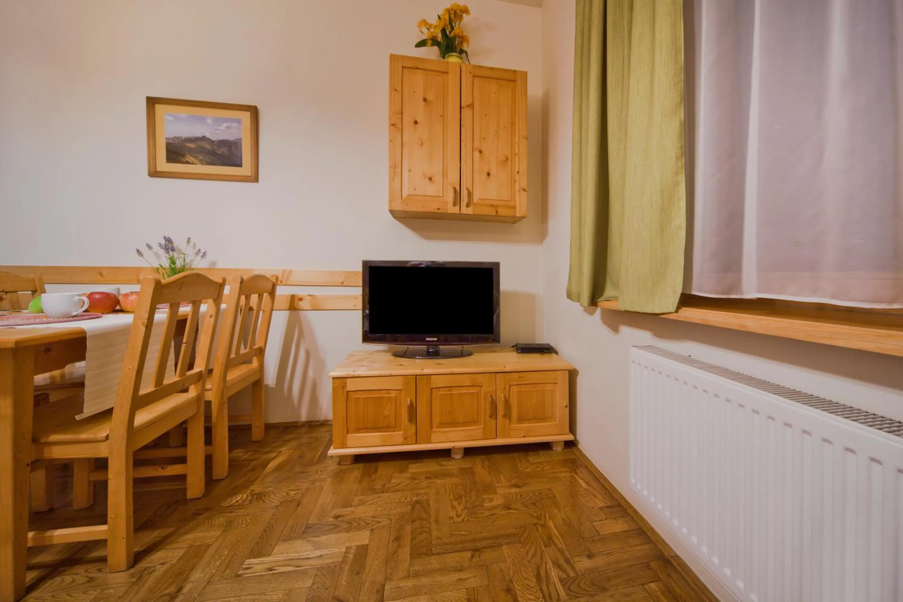 TV and multimedia in Apartamenty ApartArt Zakopane