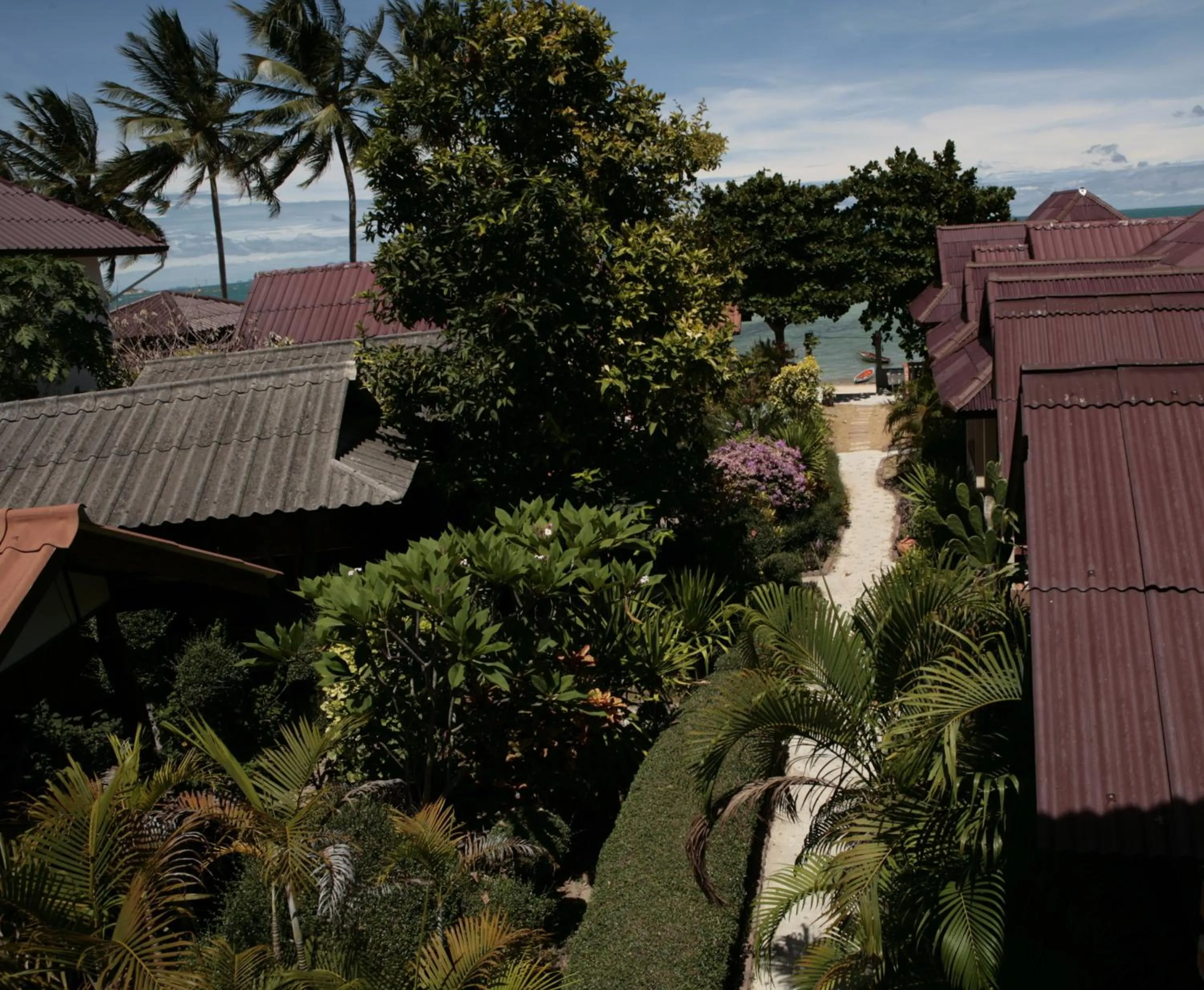 Day in Jungle Hut Bungalows & Hotel