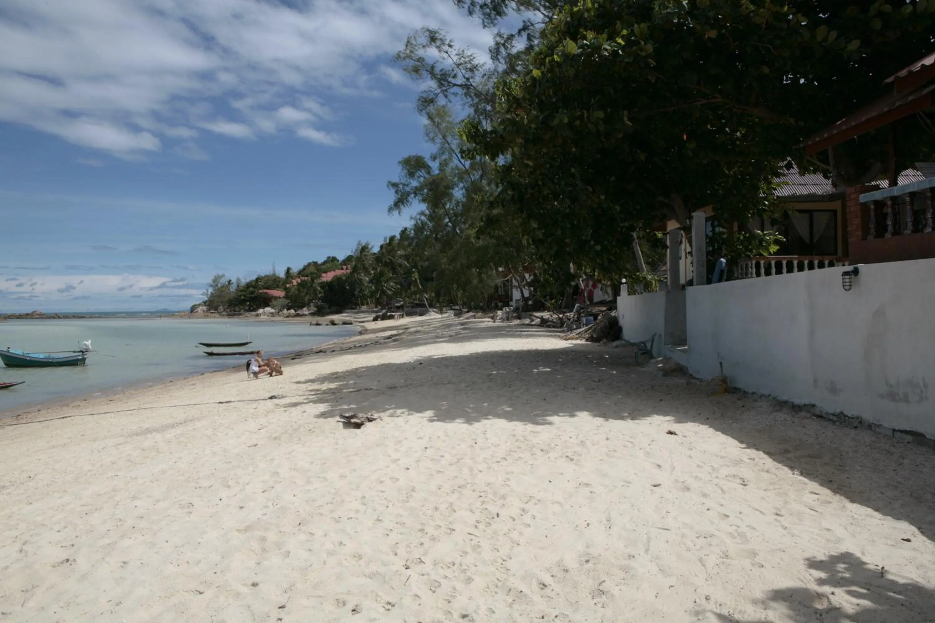 Day in Jungle Hut Bungalows & Hotel