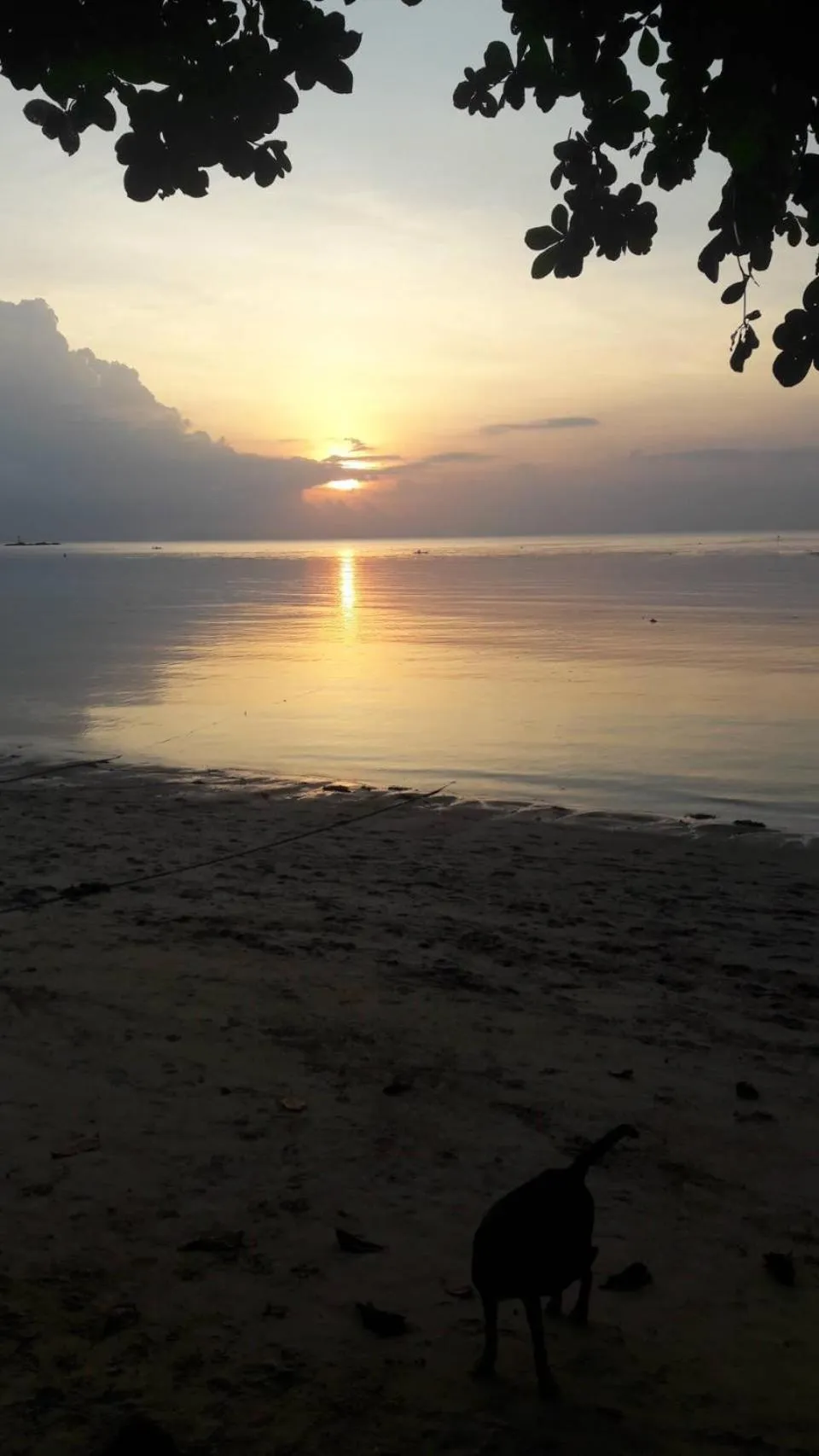 Jungle Hut Bungalows & Hotel