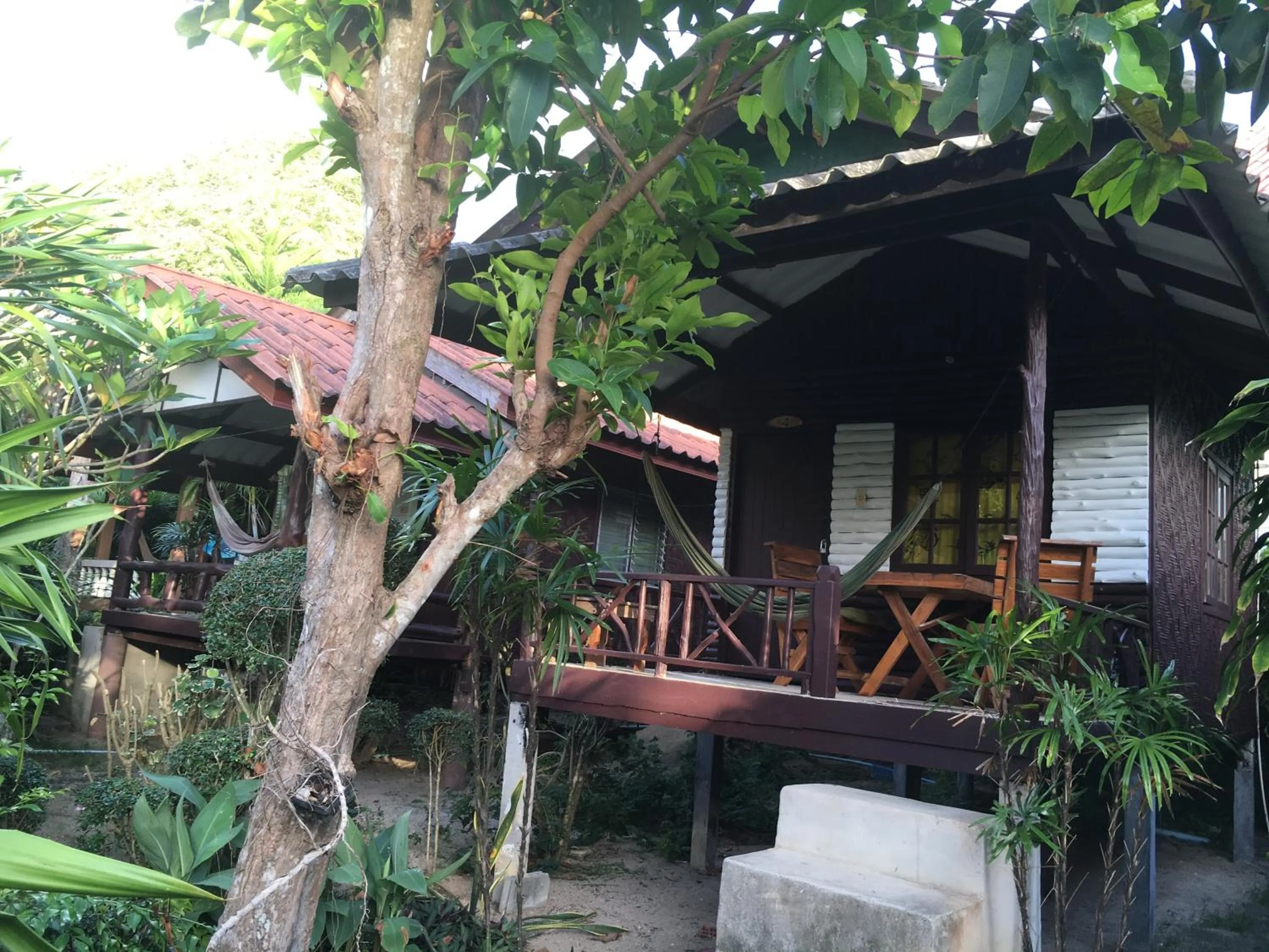 Jungle Hut Bungalows & Hotel