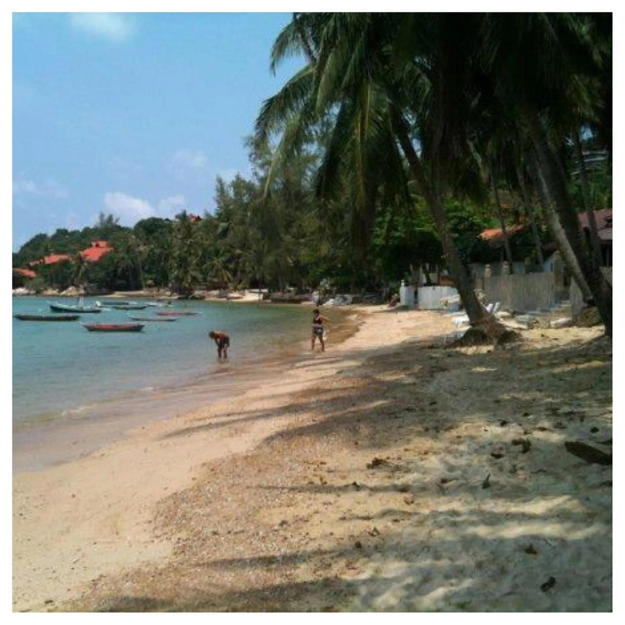 Day in Jungle Hut Bungalows & Hotel