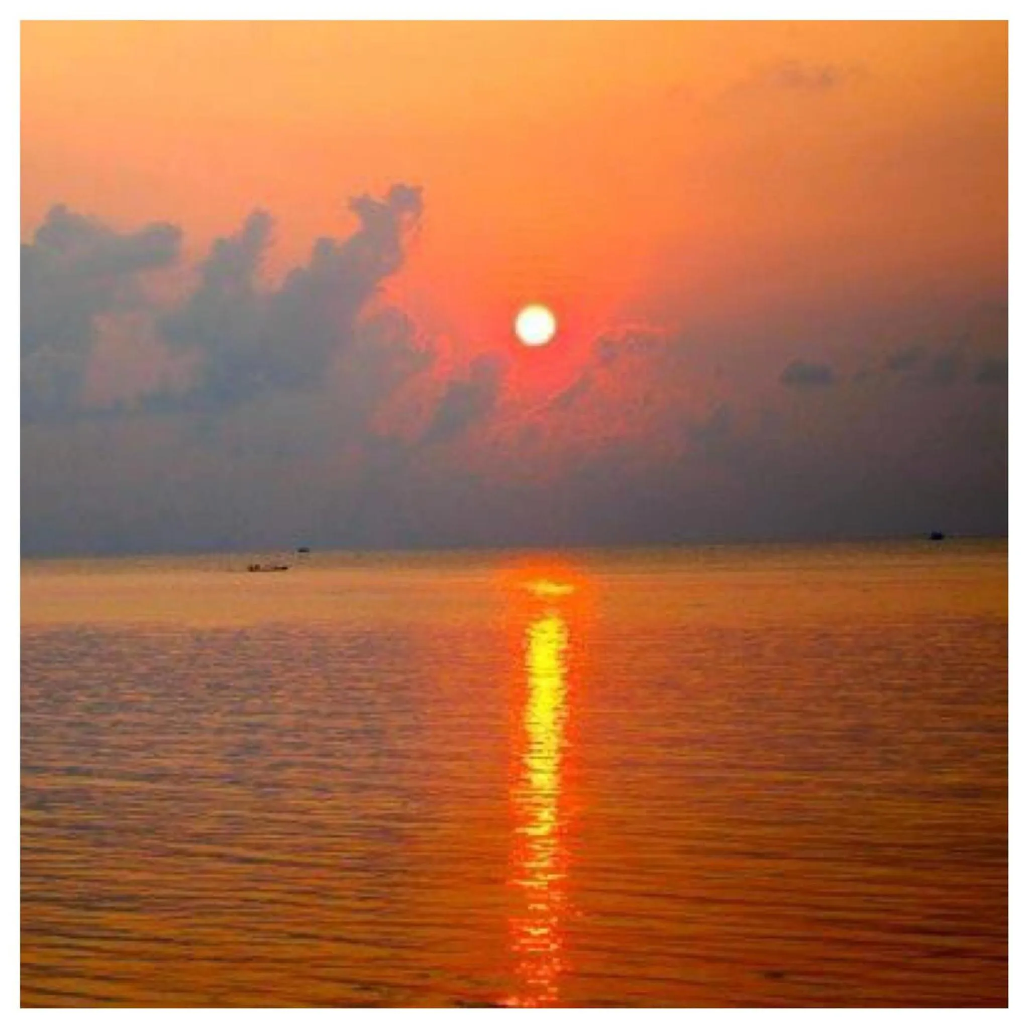 Natural landscape in Jungle Hut Bungalows & Hotel