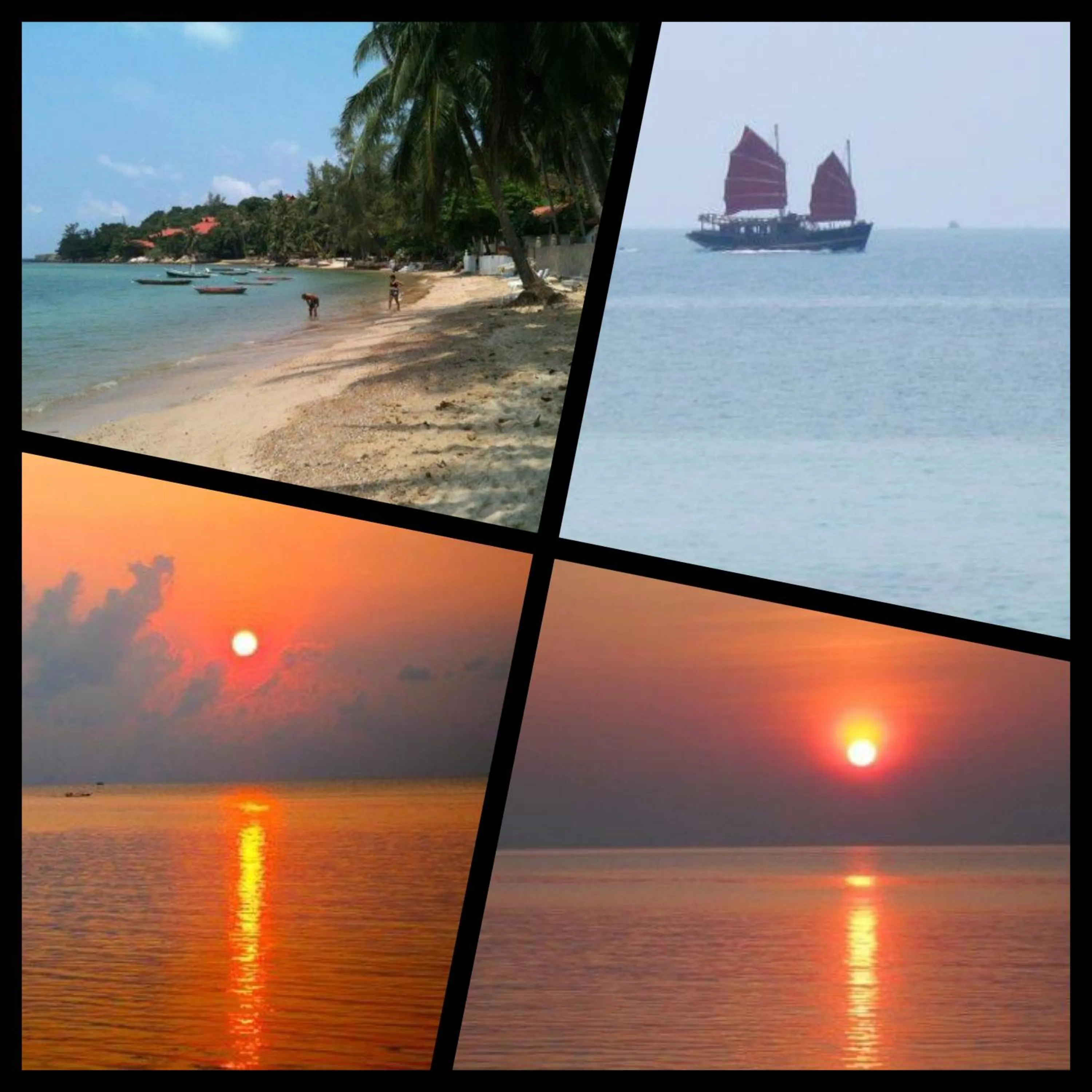 Other in Jungle Hut Bungalows & Hotel