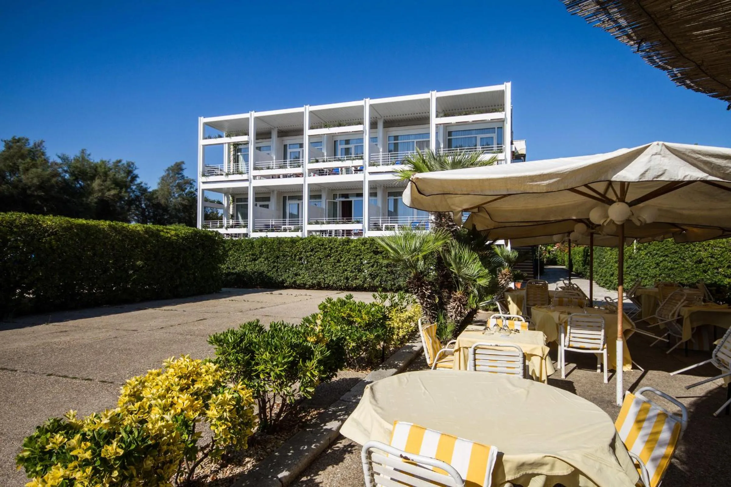 Garden in Hotel La Conchiglia