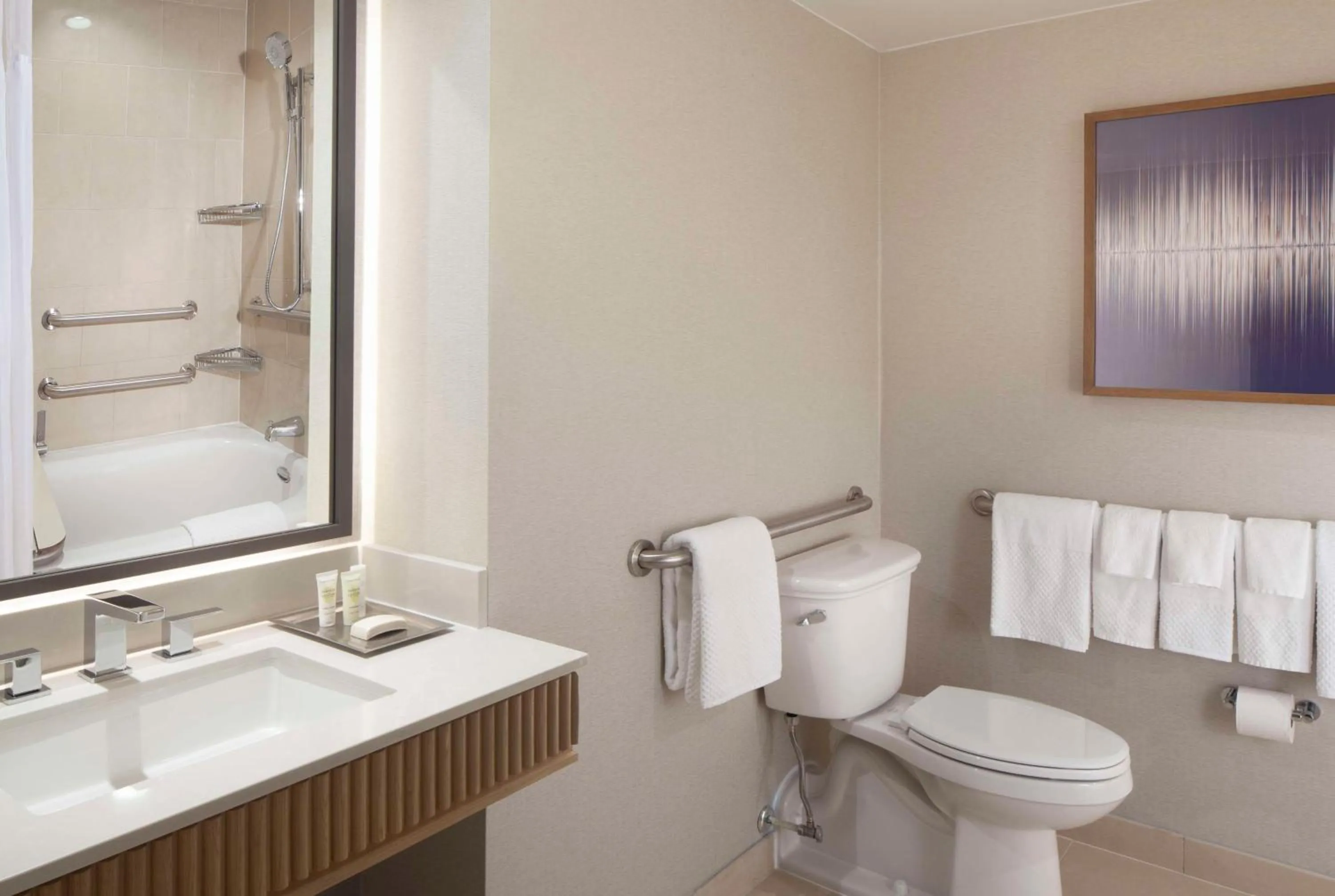 Bathroom in Hilton Anatole