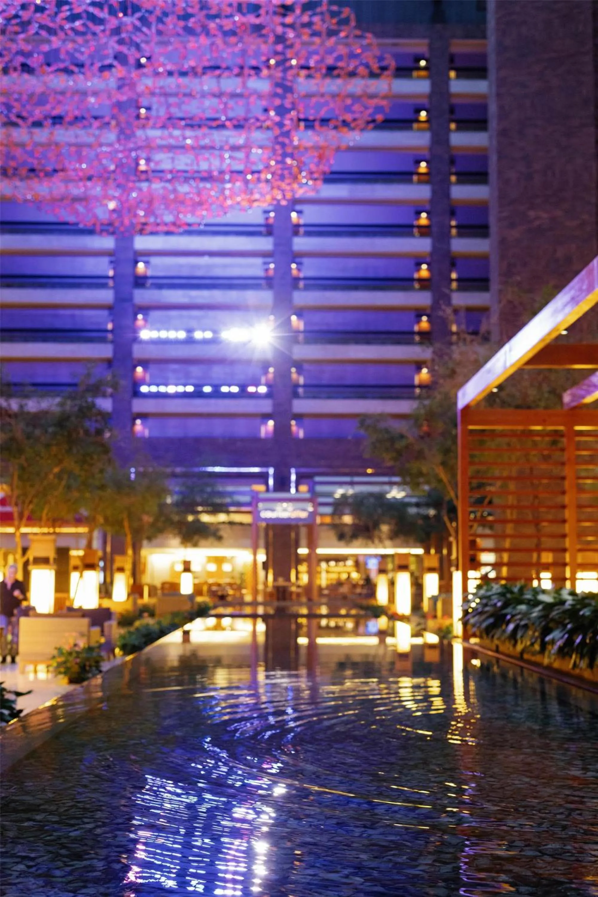 Hilton Anatole