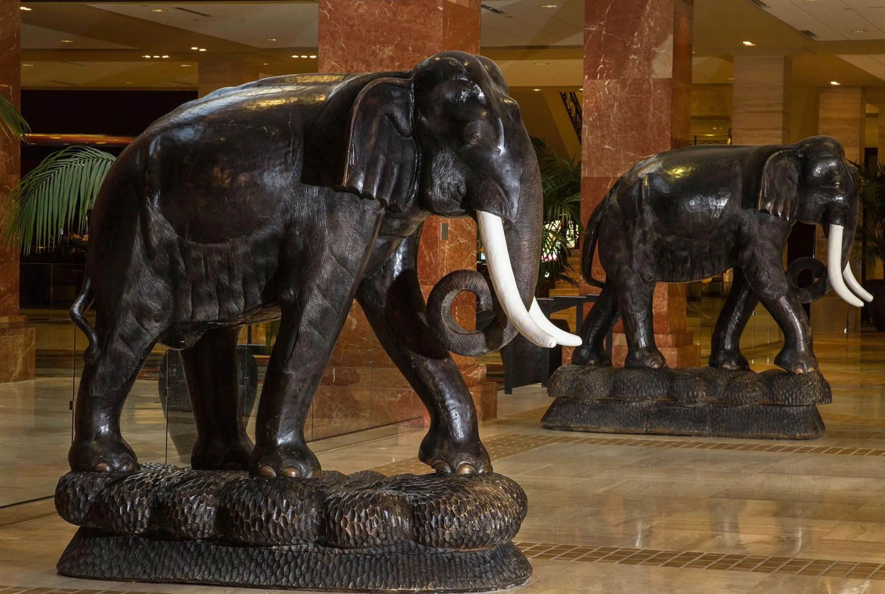 Other in Hilton Anatole