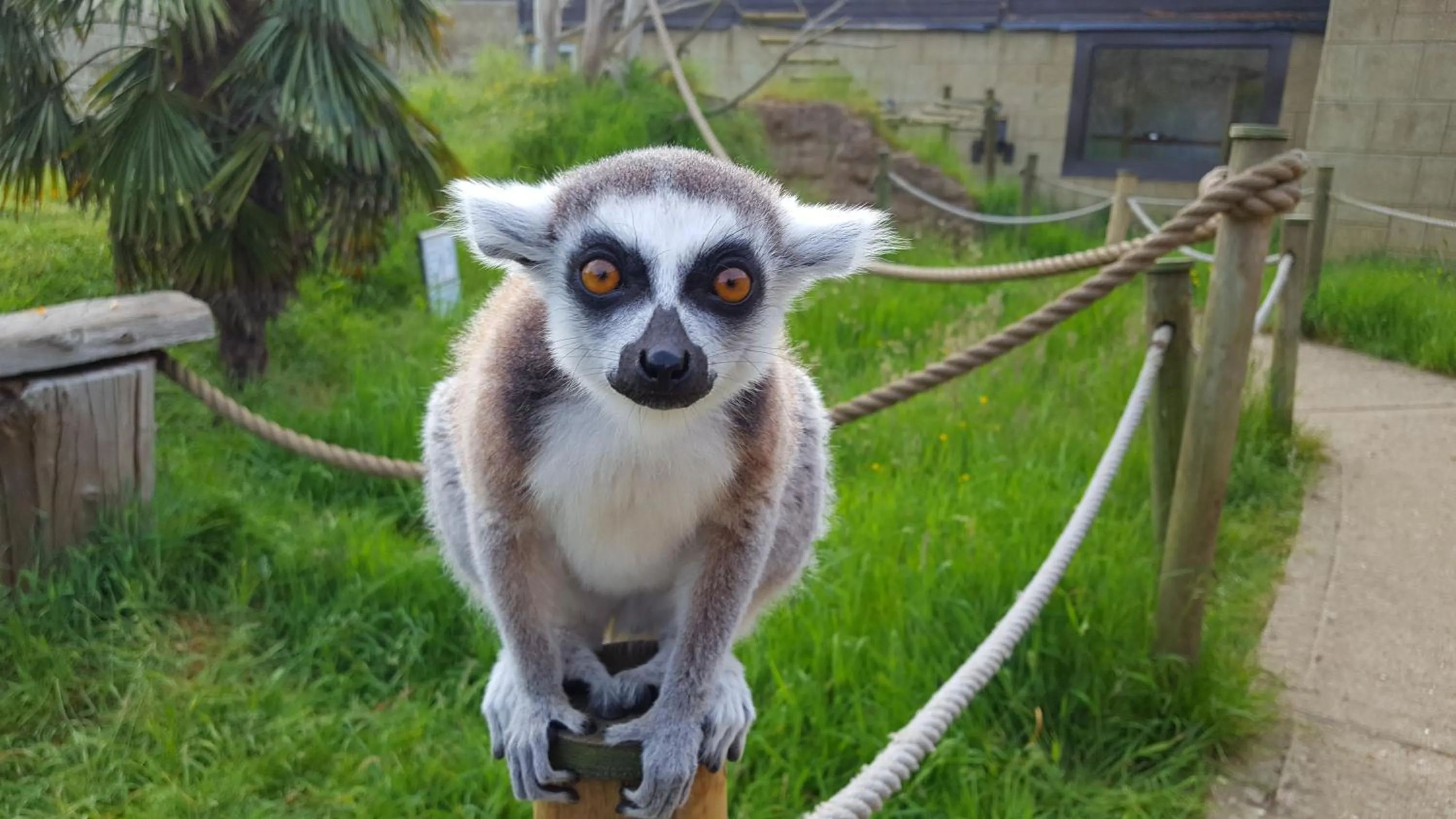 Activities in Medehamstede Hotel