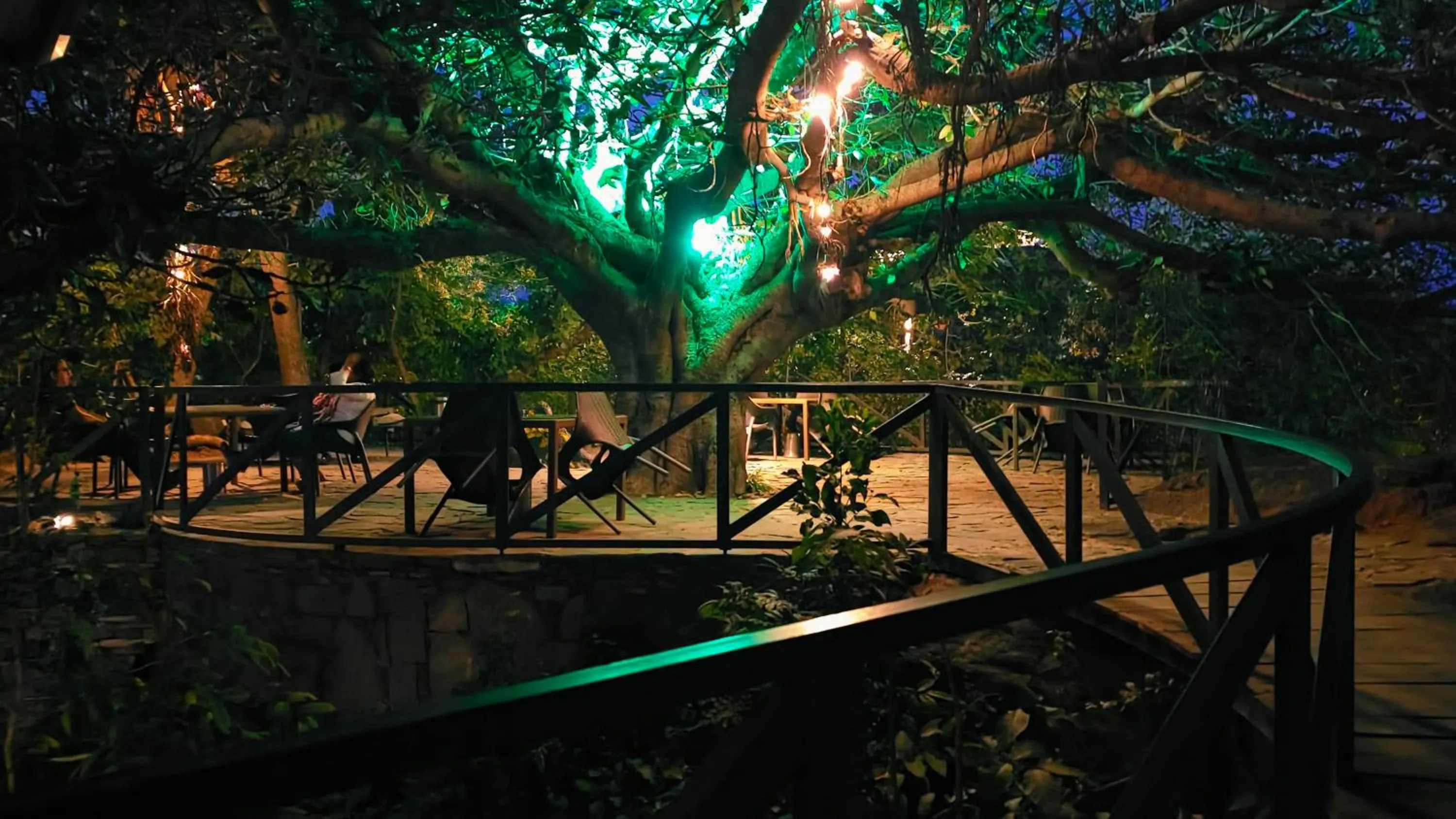 Garden in Bella Basera