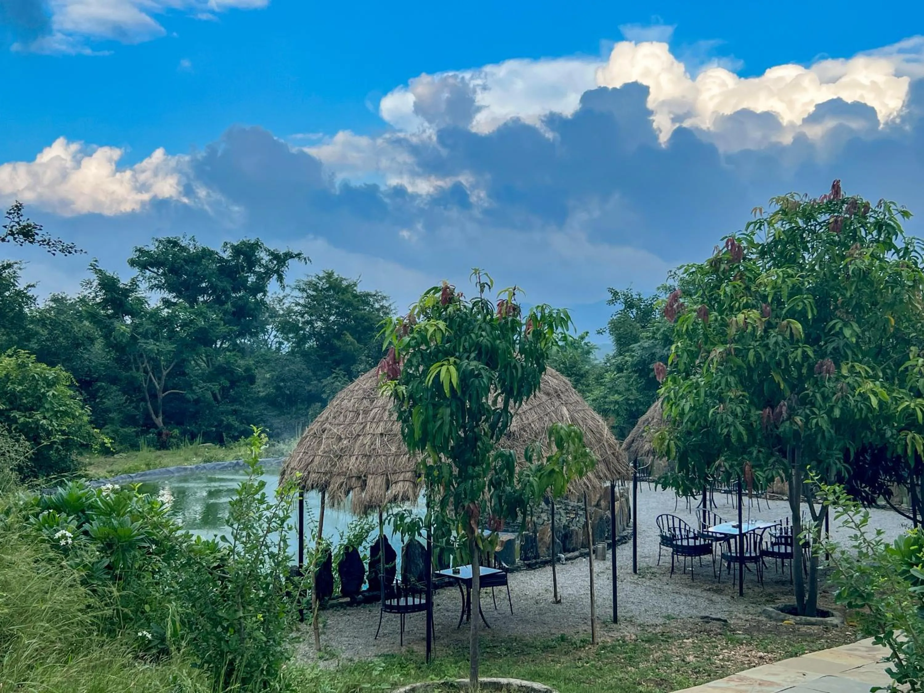 Spring in Bella Basera