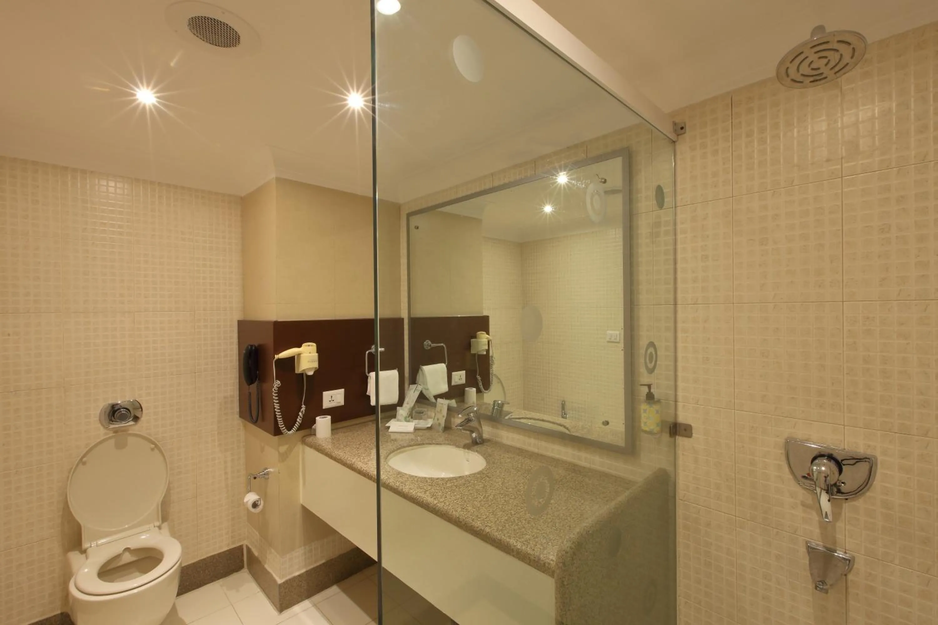 Bathroom in Lemon Tree Hotel Baddi