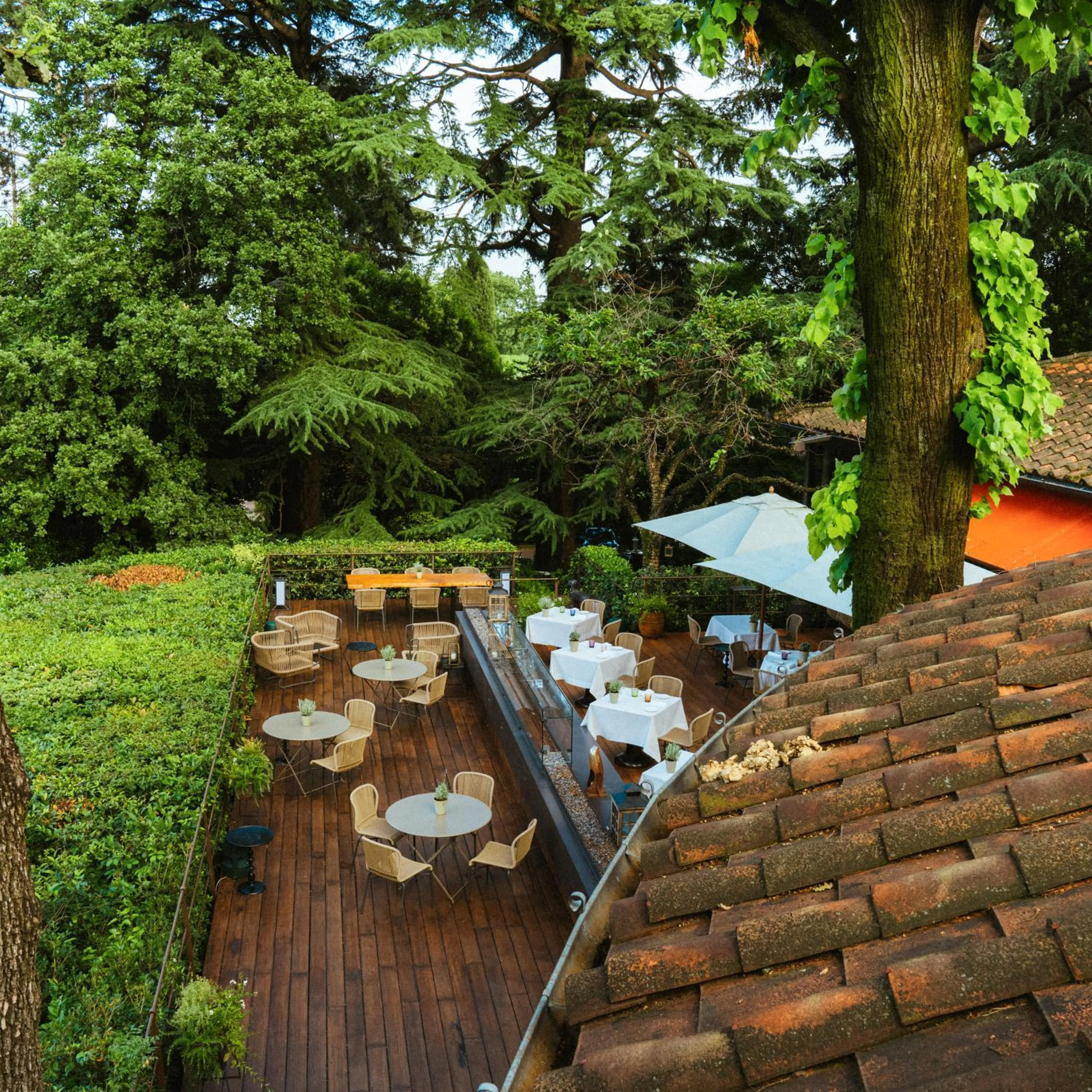 Natural landscape in L'Albereta Relais & Chateaux