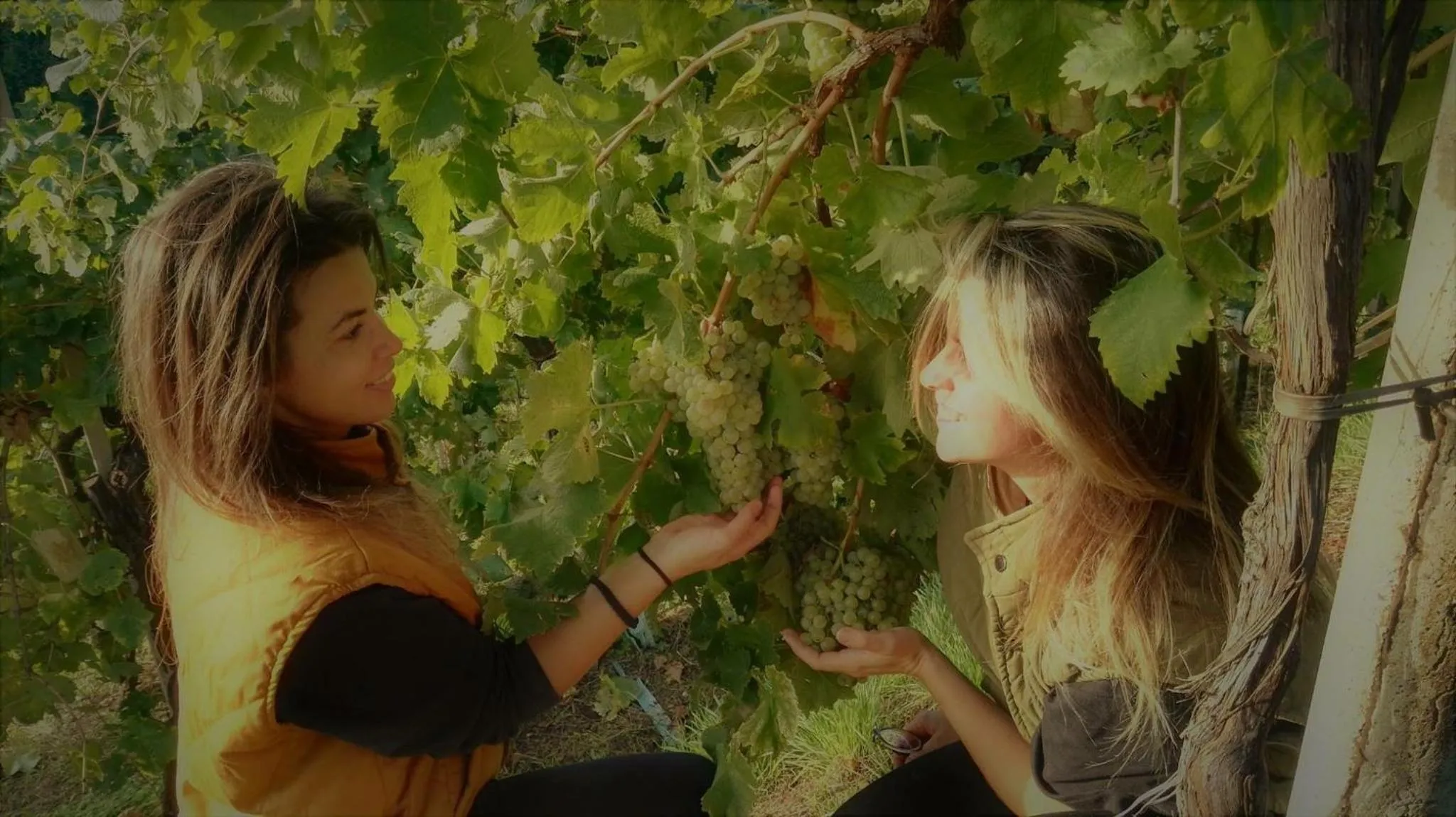 People in Agriturismo Al Credazzo