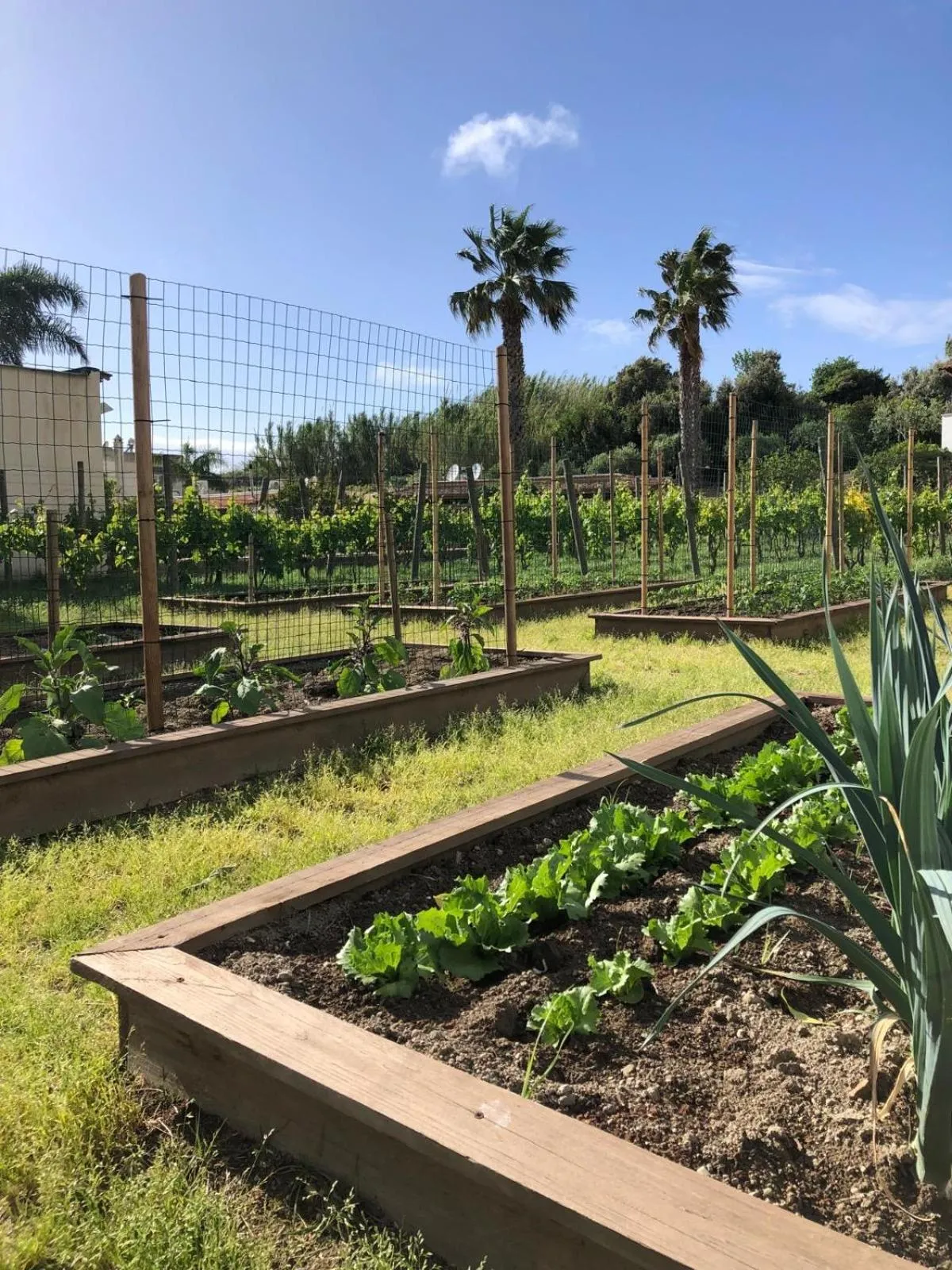 Garden in Residence San Domenico