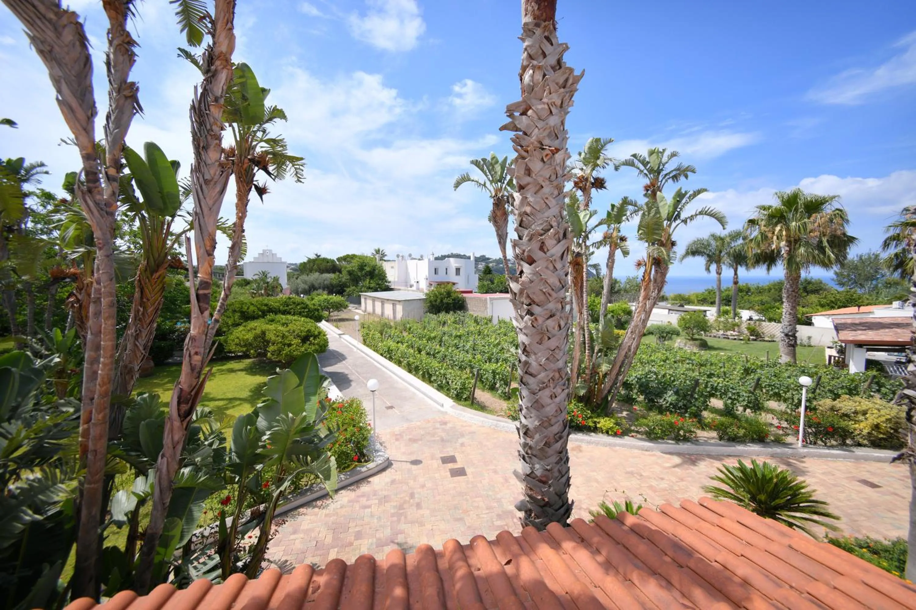 Residence San Domenico