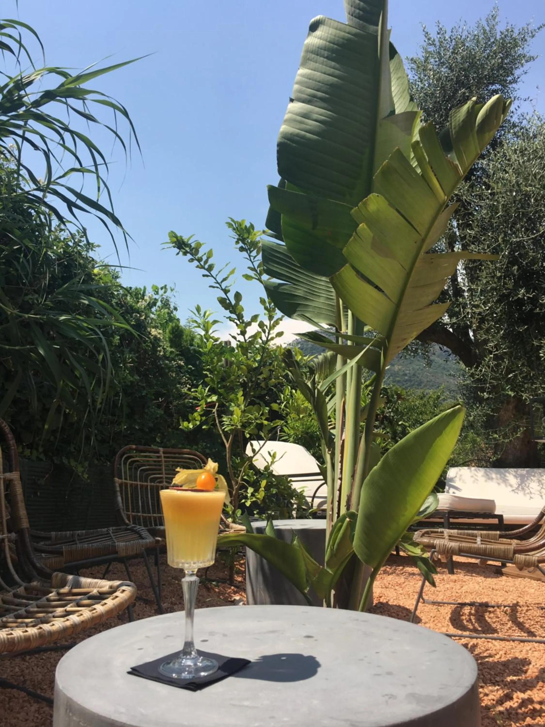 Garden in Avocado Hôtel Restaurant