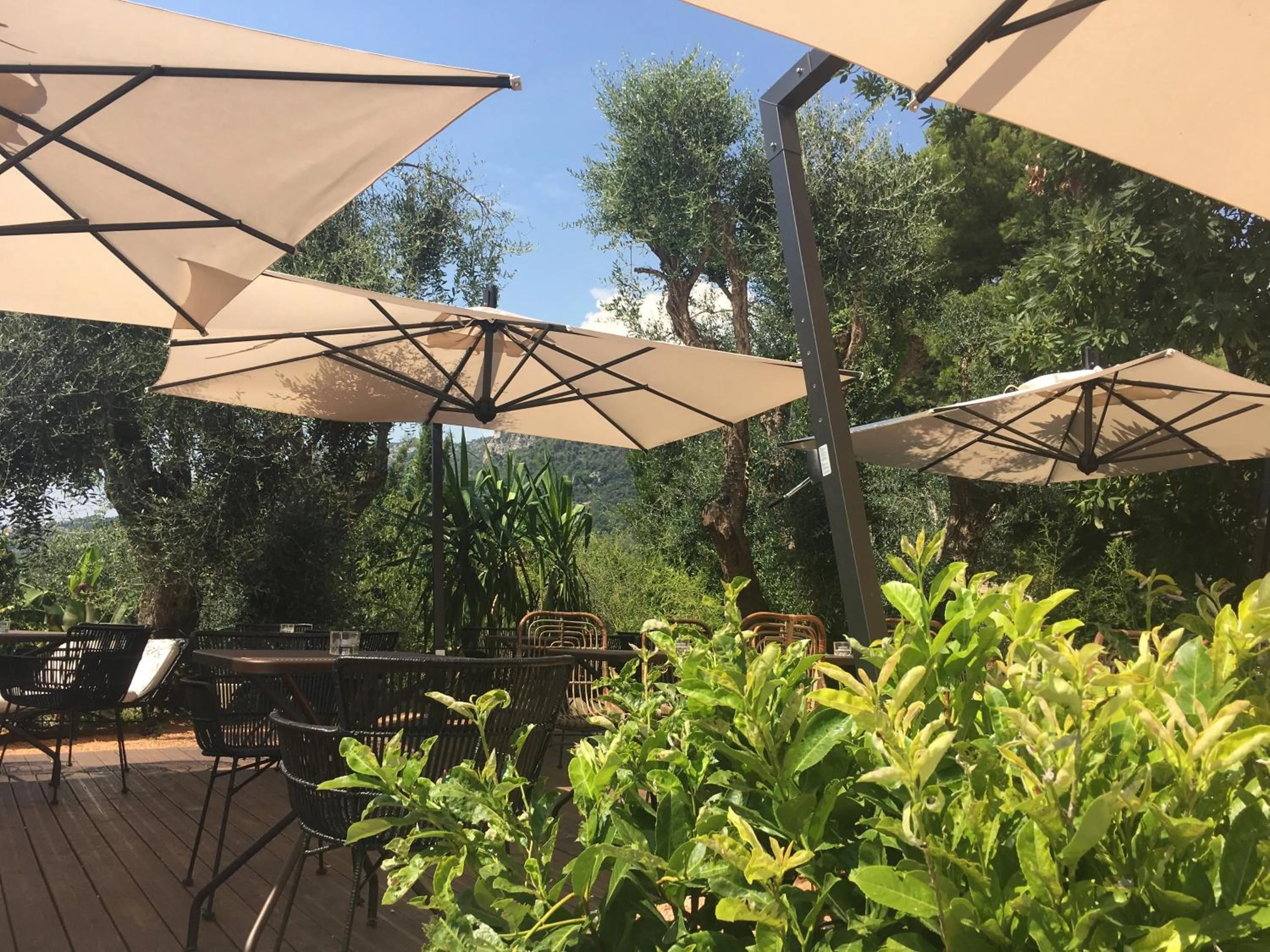 Property building in Avocado Hôtel Restaurant